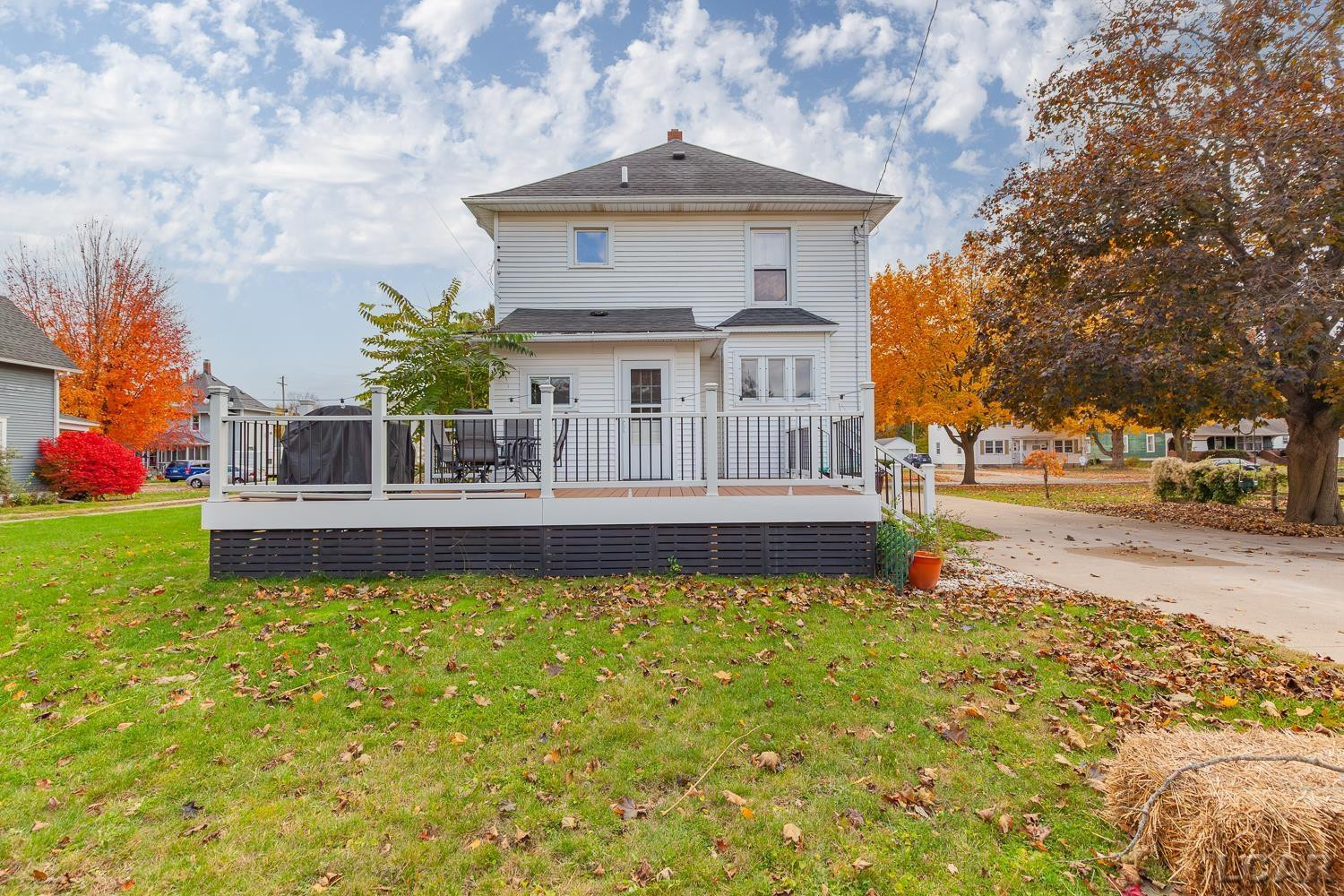 215 White Street, Blissfield, MI 49228 — Photo 38