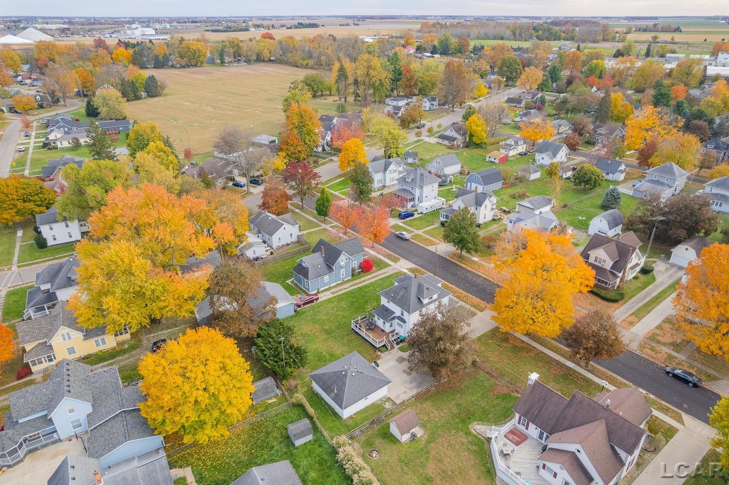 215 White Street, Blissfield, MI 49228 — Photo 47