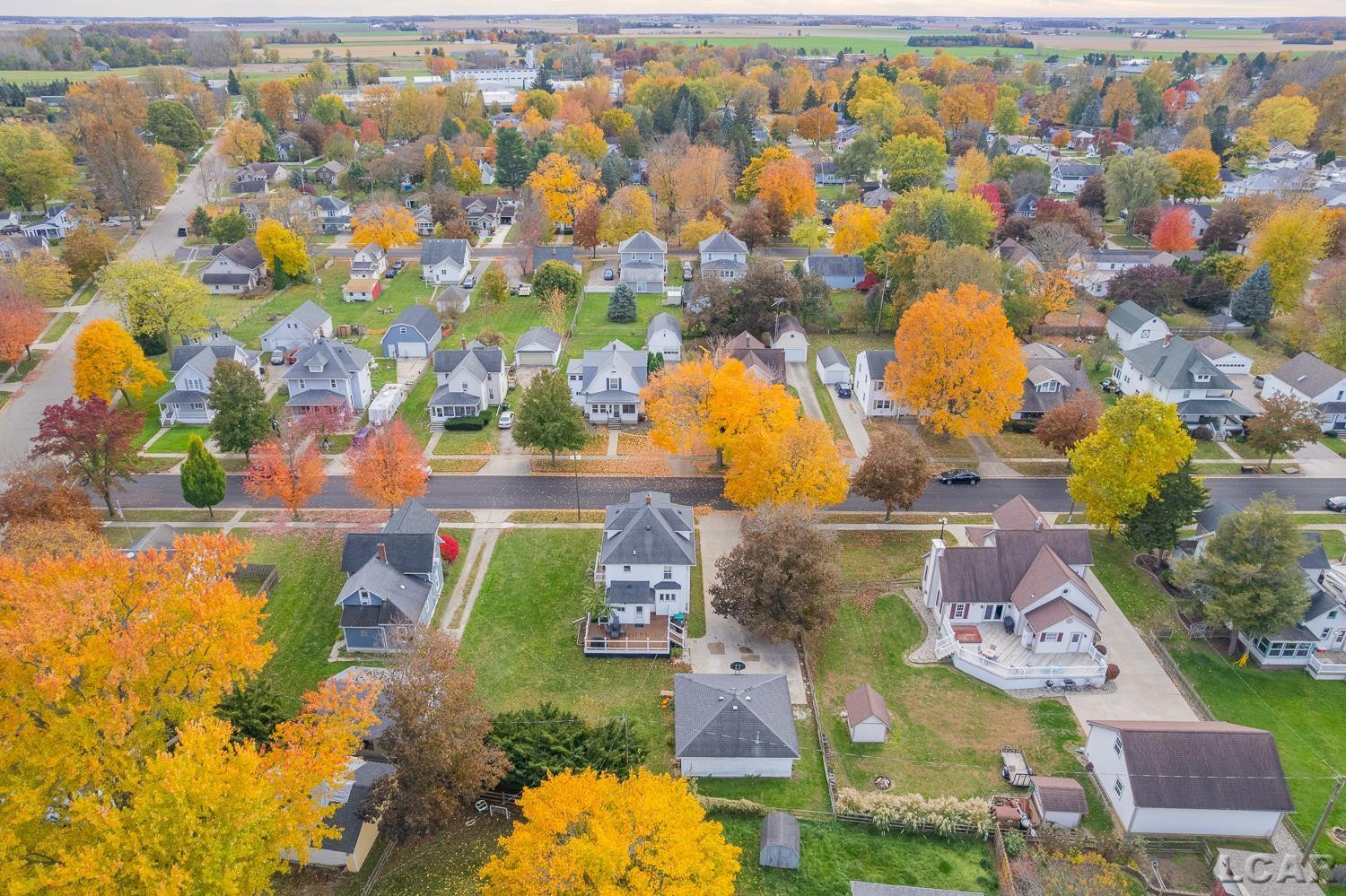 215 White Street, Blissfield, MI 49228 — Photo 48