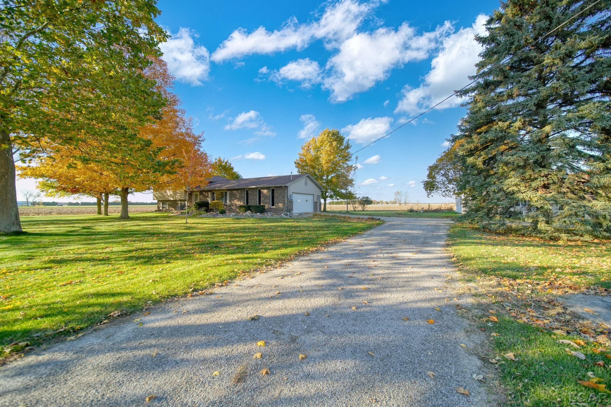 10100 Rouget Road, Blissfield, MI 49228 — Photo 3