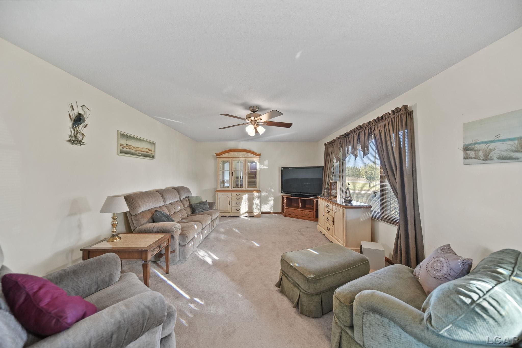 10100 Rouget Road, Blissfield, MI 49228 — Photo 7