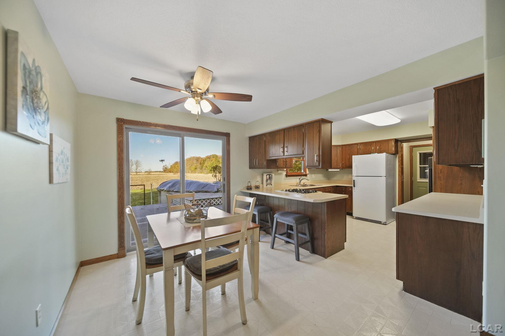10100 Rouget Road, Blissfield, MI 49228 — Photo 9