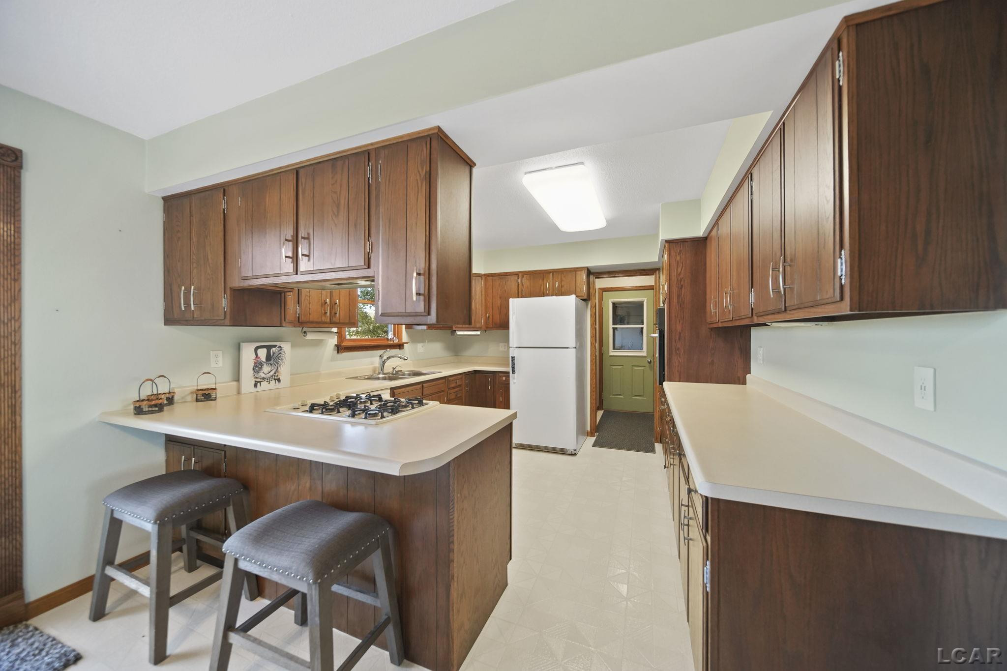 10100 Rouget Road, Blissfield, MI 49228 — Photo 10
