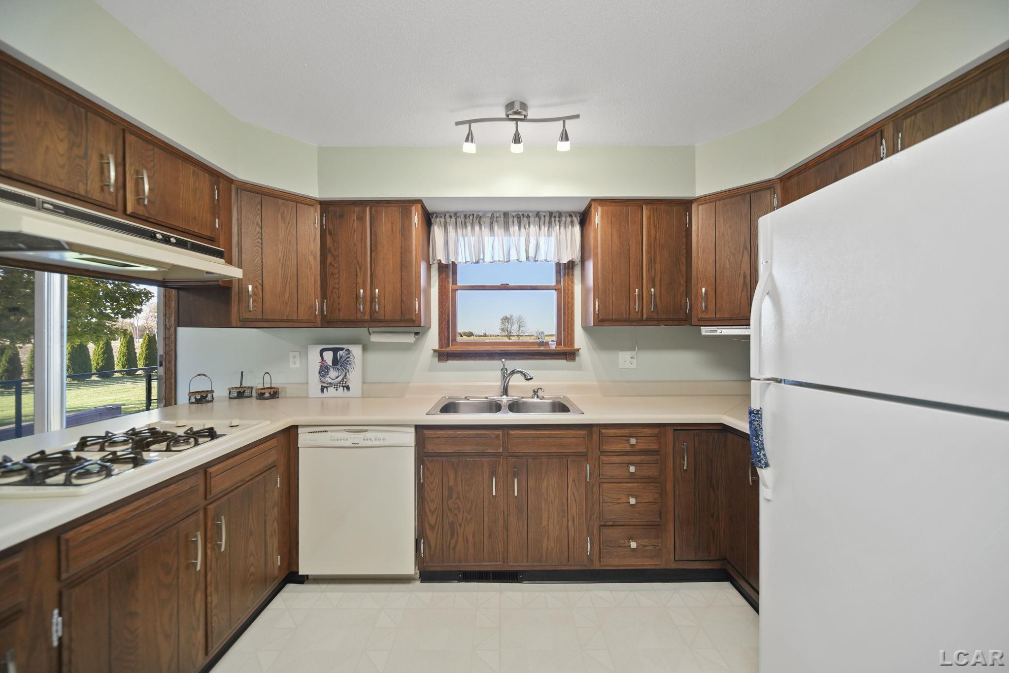 10100 Rouget Road, Blissfield, MI 49228 — Photo 11