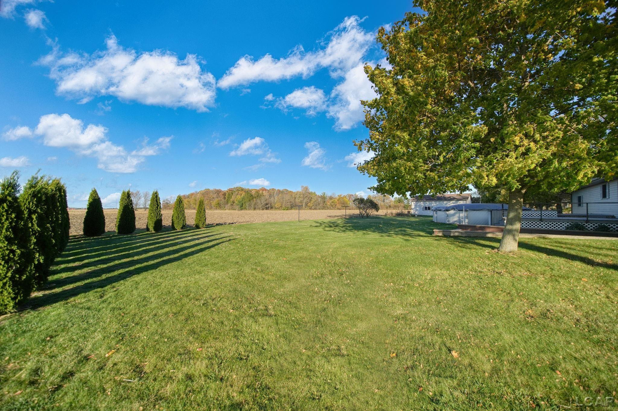 10100 Rouget Road, Blissfield, MI 49228 — Photo 29