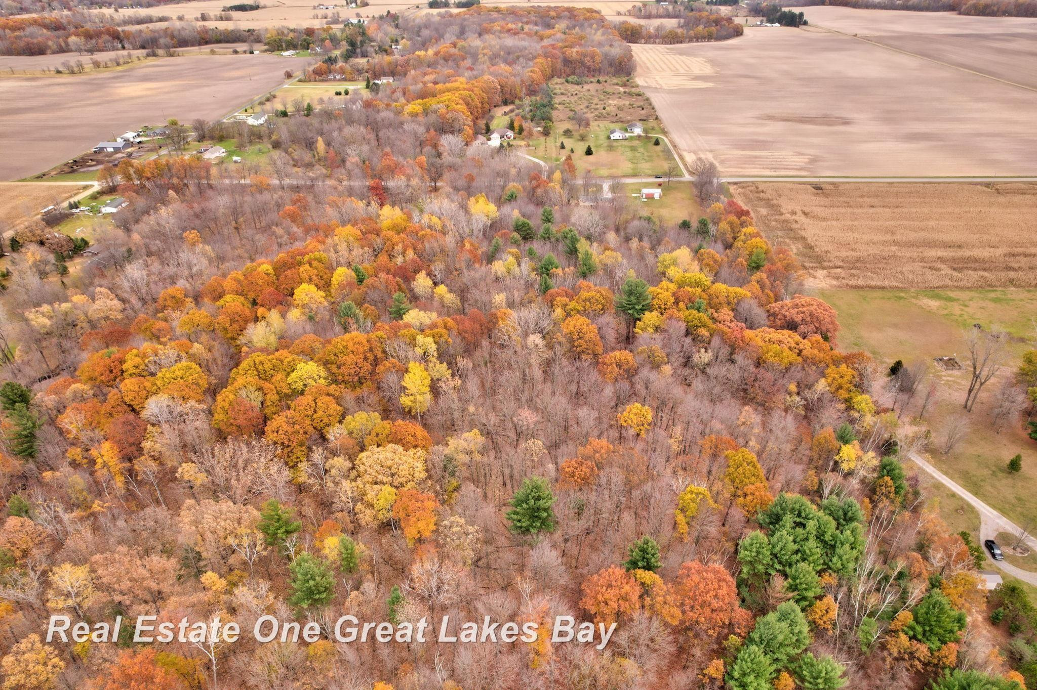 10210 S Brennan Road, Brant, MI 48614 — Photo 60