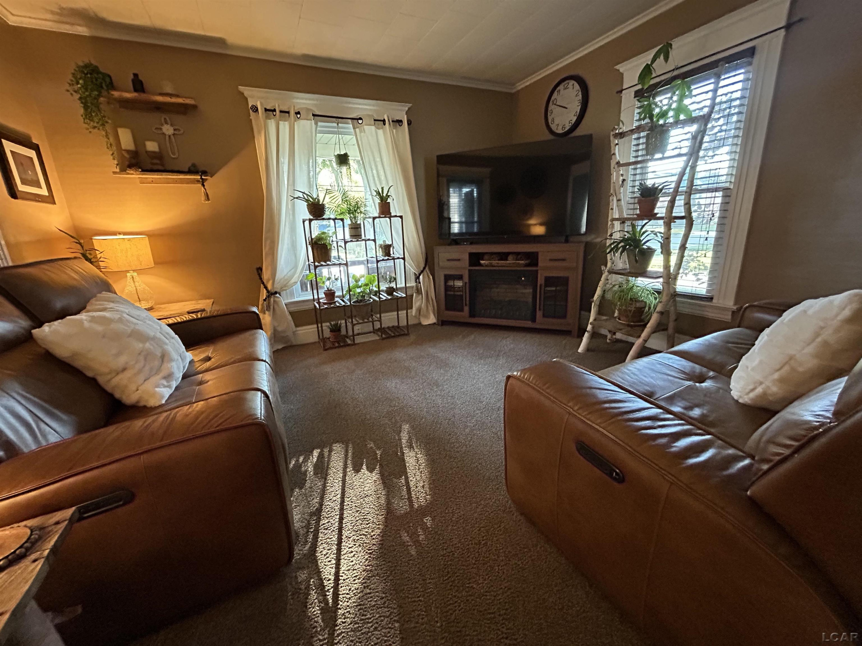 502 Giles Avenue, Blissfield, MI 49228 — Photo 14