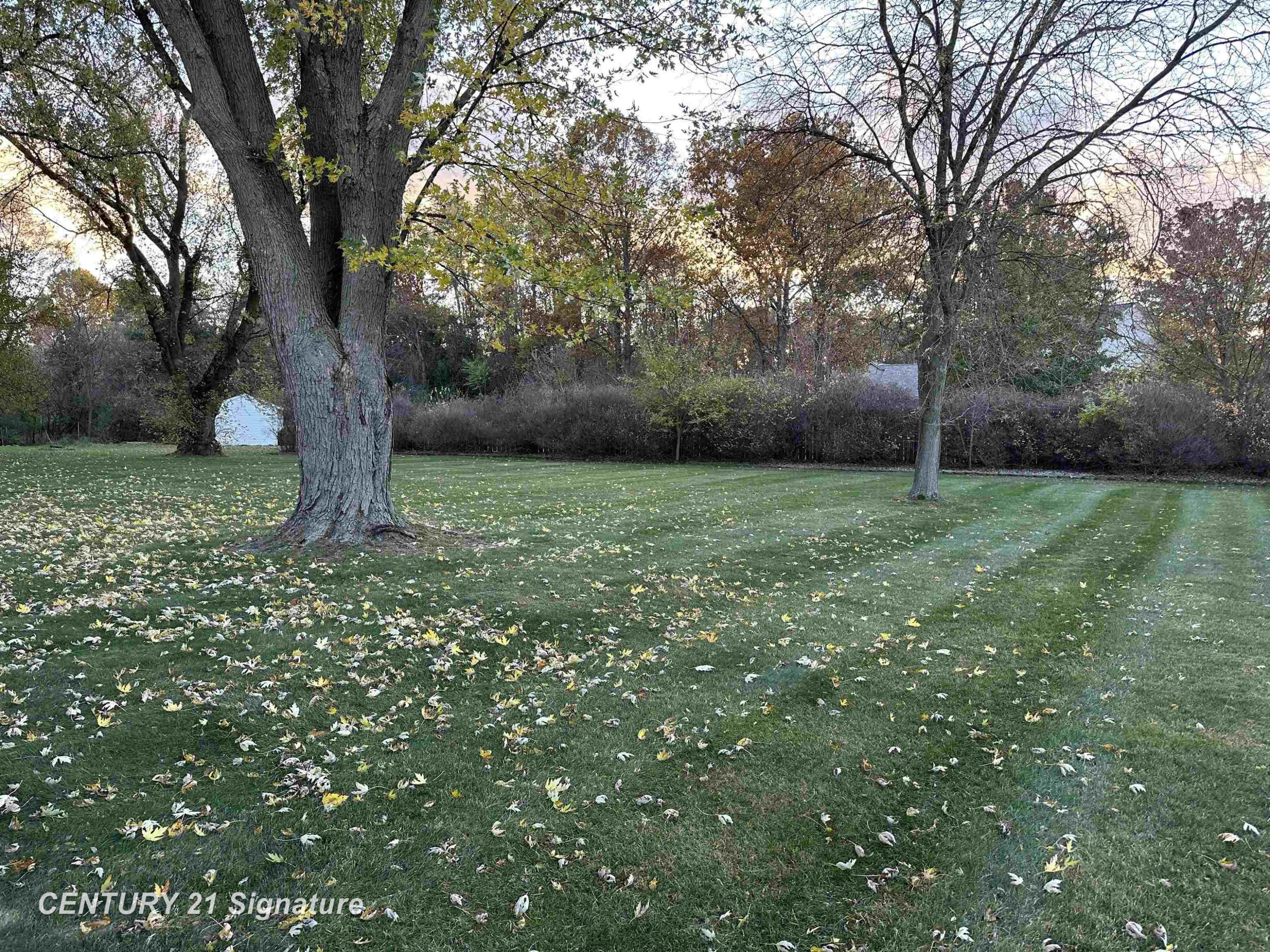 5281 Deland Road, Flushing, MI 48433 — Photo 37