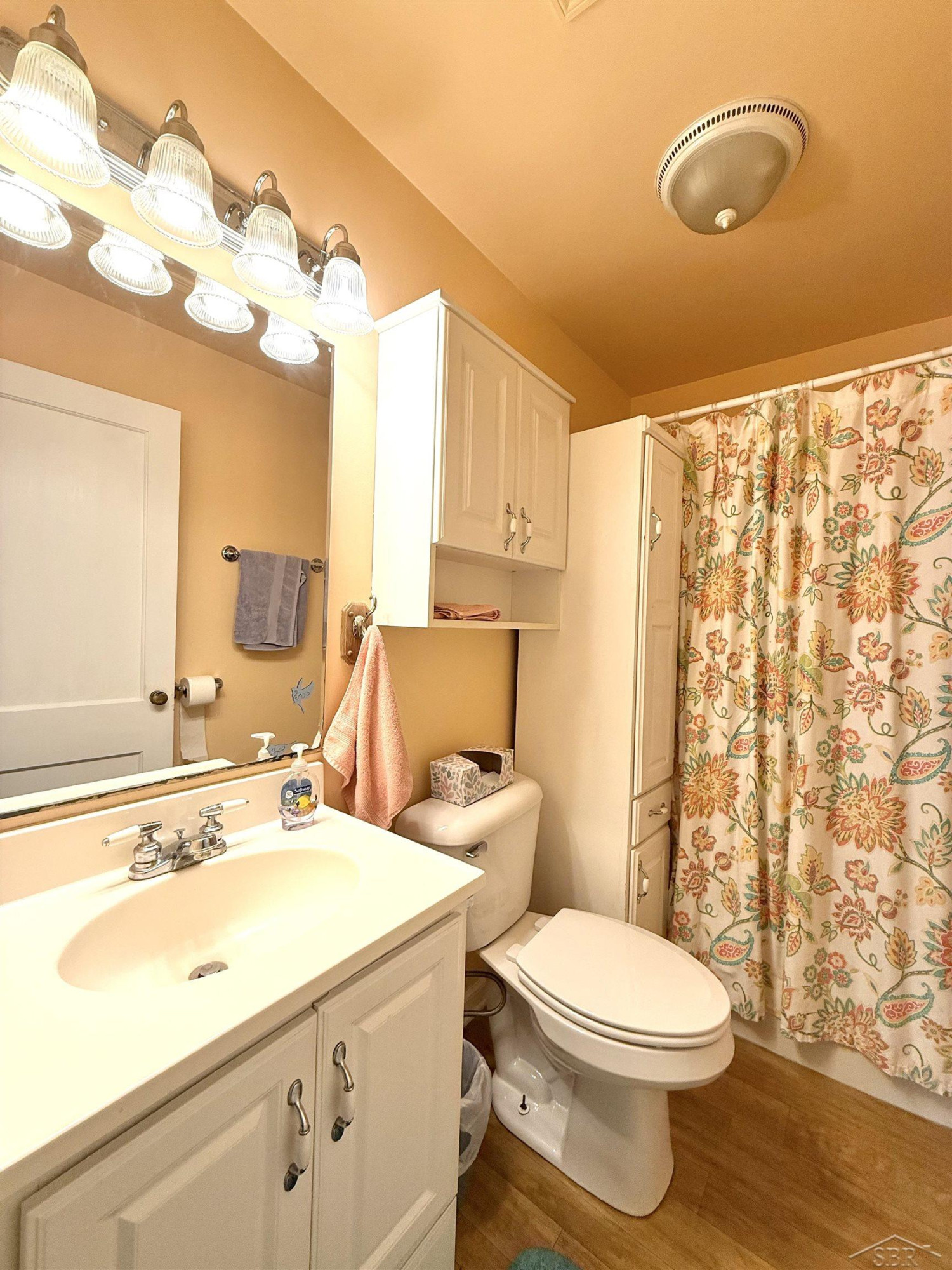 22 W Sebewaing Street, Sebewaing, MI 48759 — Photo 5