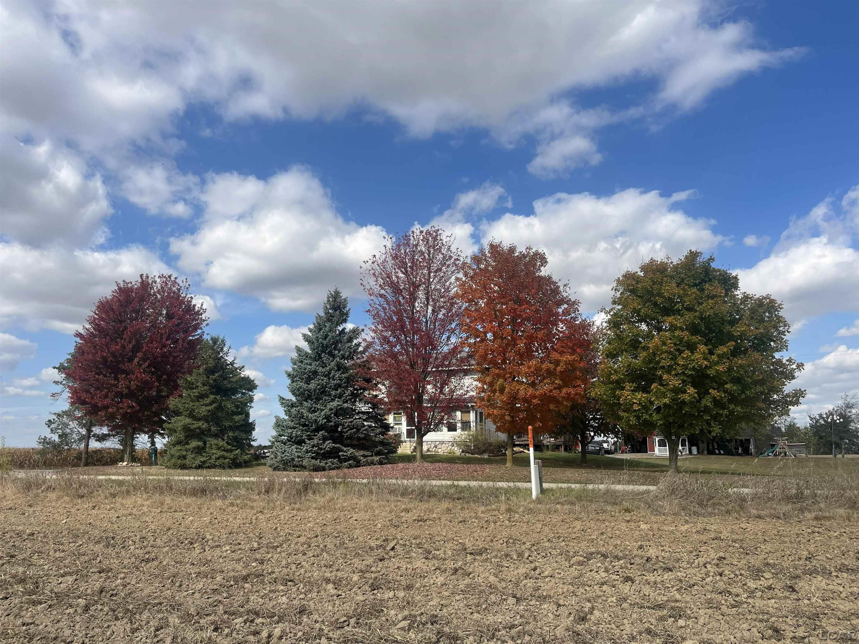 4308 W Mulberry Road, Morenci, MI 49256 — Photo 11