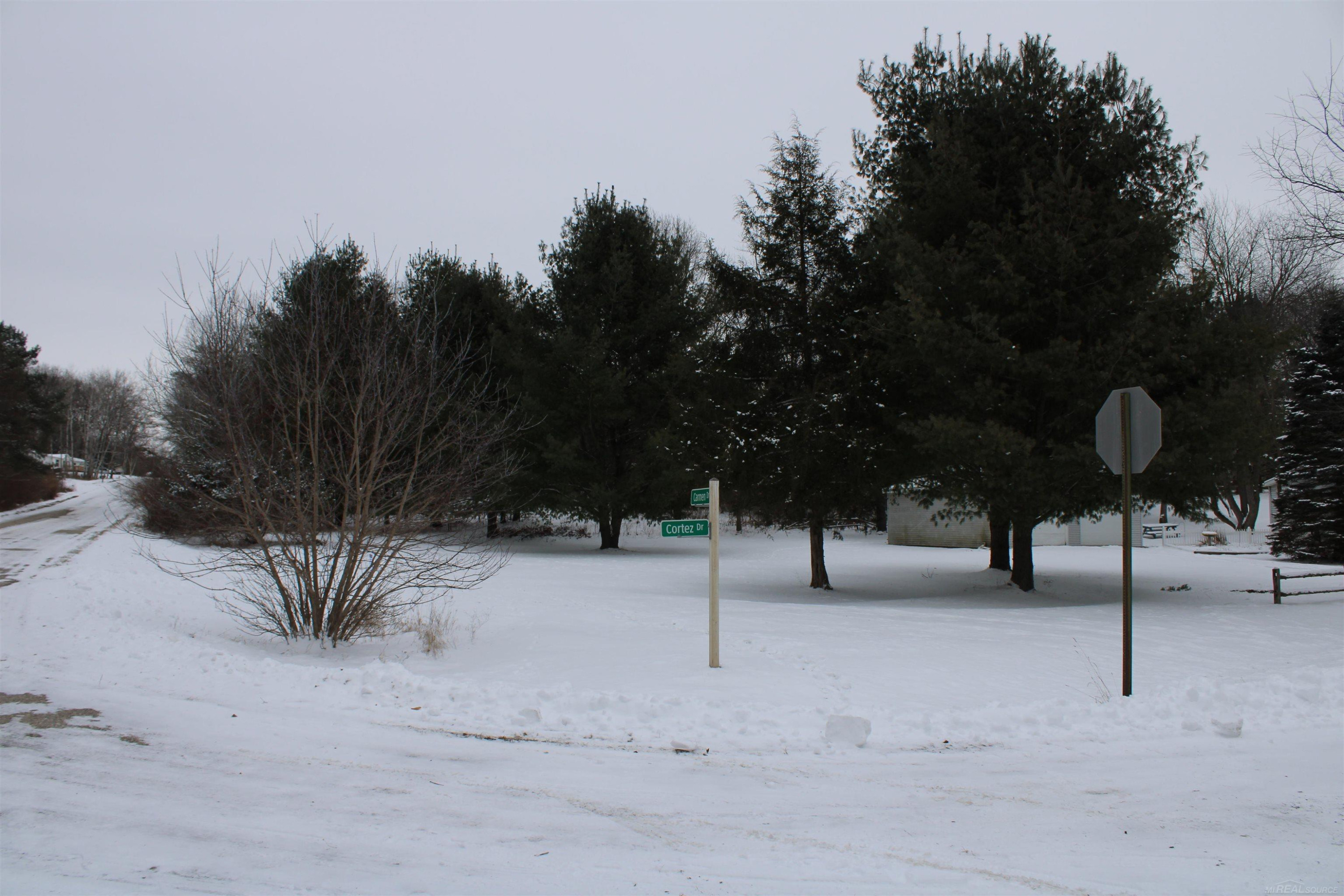 Search Homes for Sale