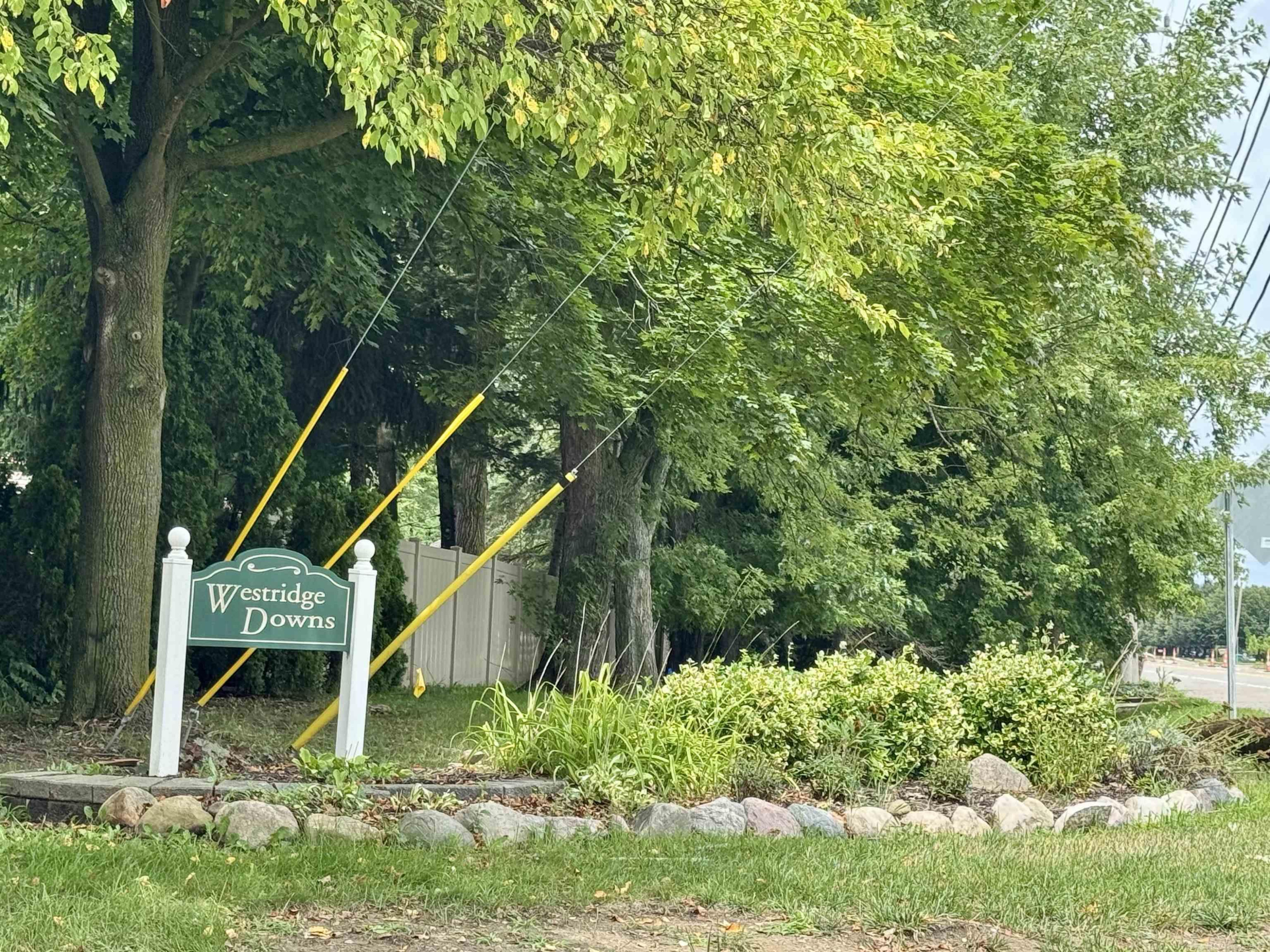 43716 Galway Drive, Northville, MI 48167 — Photo 49