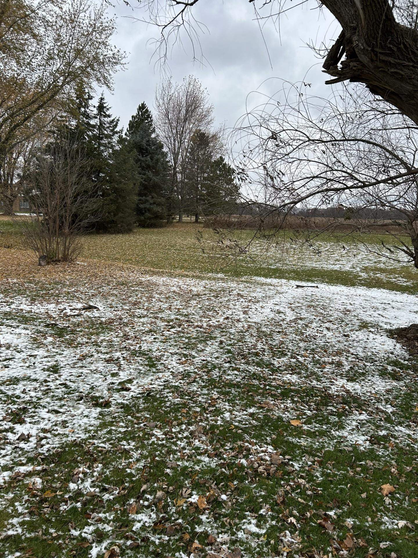 9651 Juddville Road, Corunna, MI 48817 — Photo 5