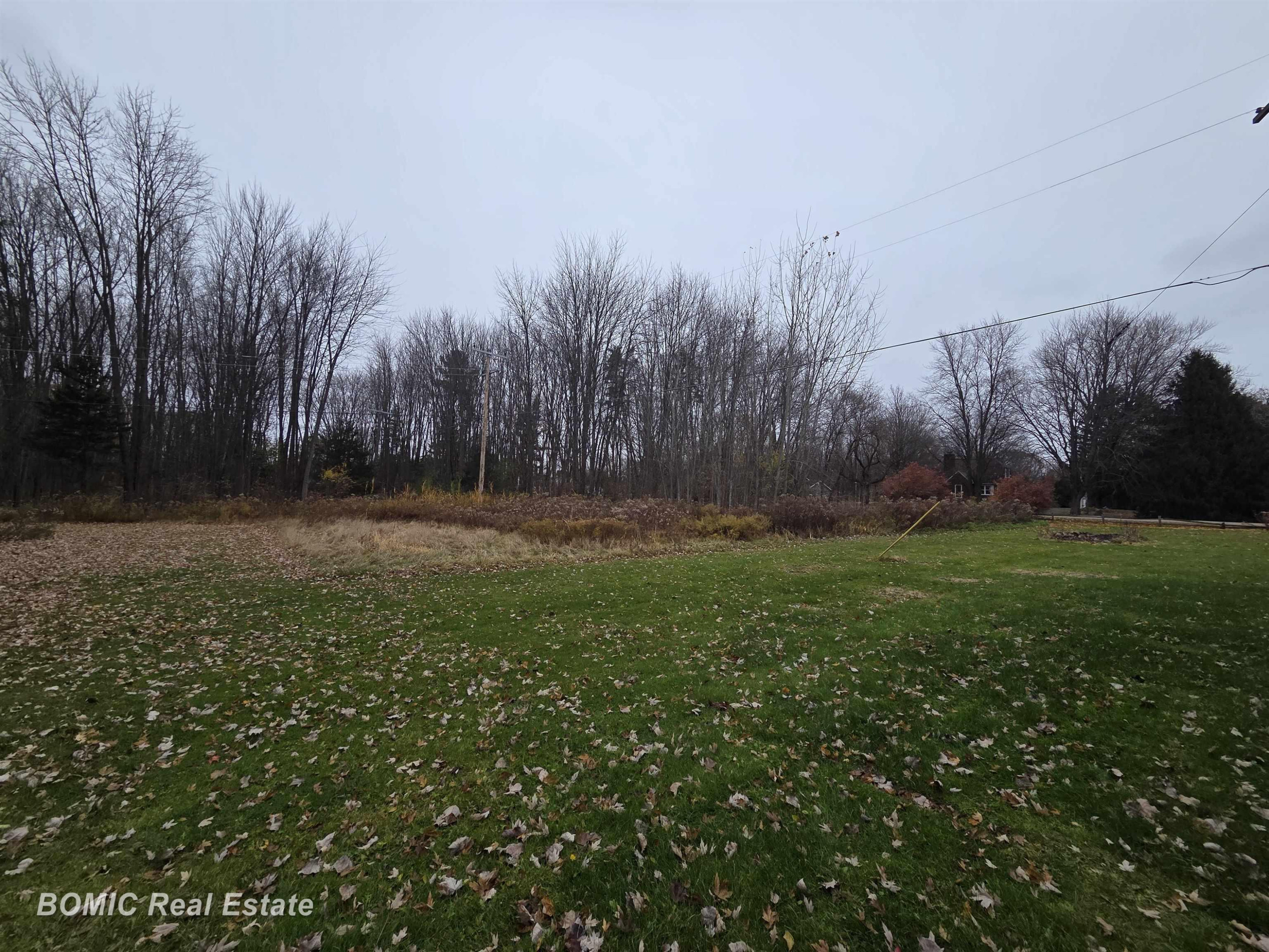 8832 Ormes Road, Vassar, MI 48768 — Photo 17