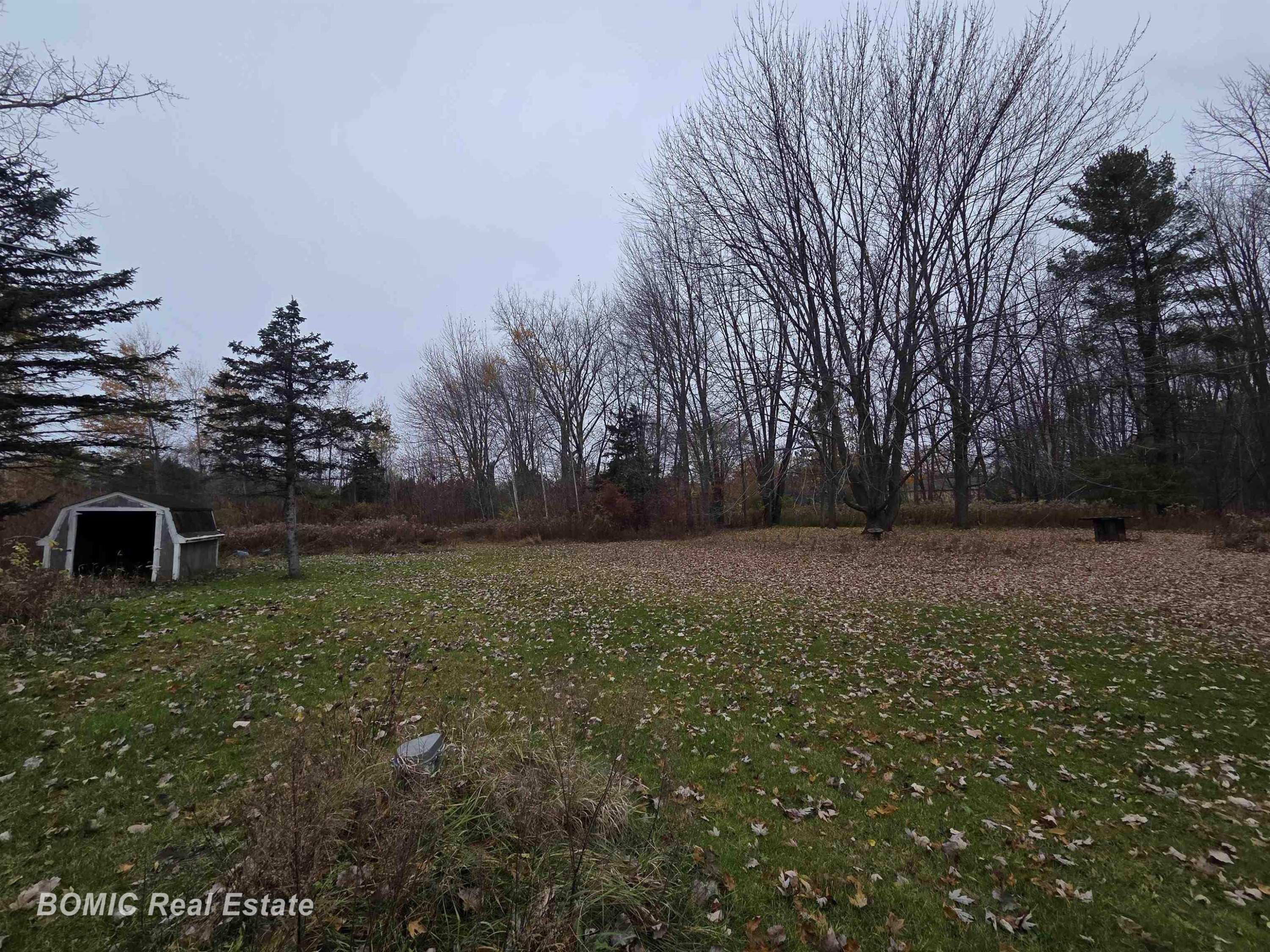 8832 Ormes Road, Vassar, MI 48768 — Photo 18