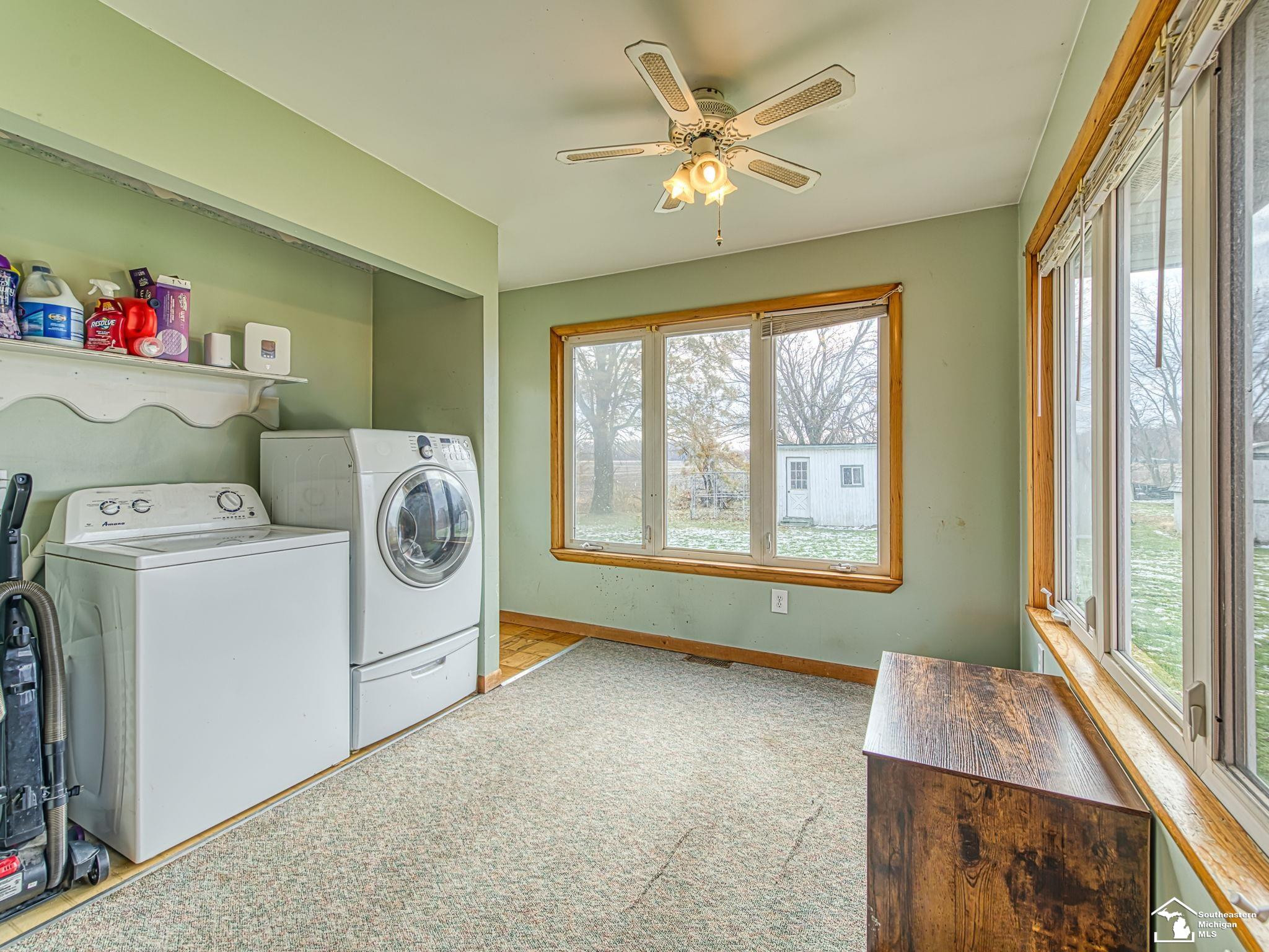 8687 Todd Road, Ida, MI 48140 — Photo 8