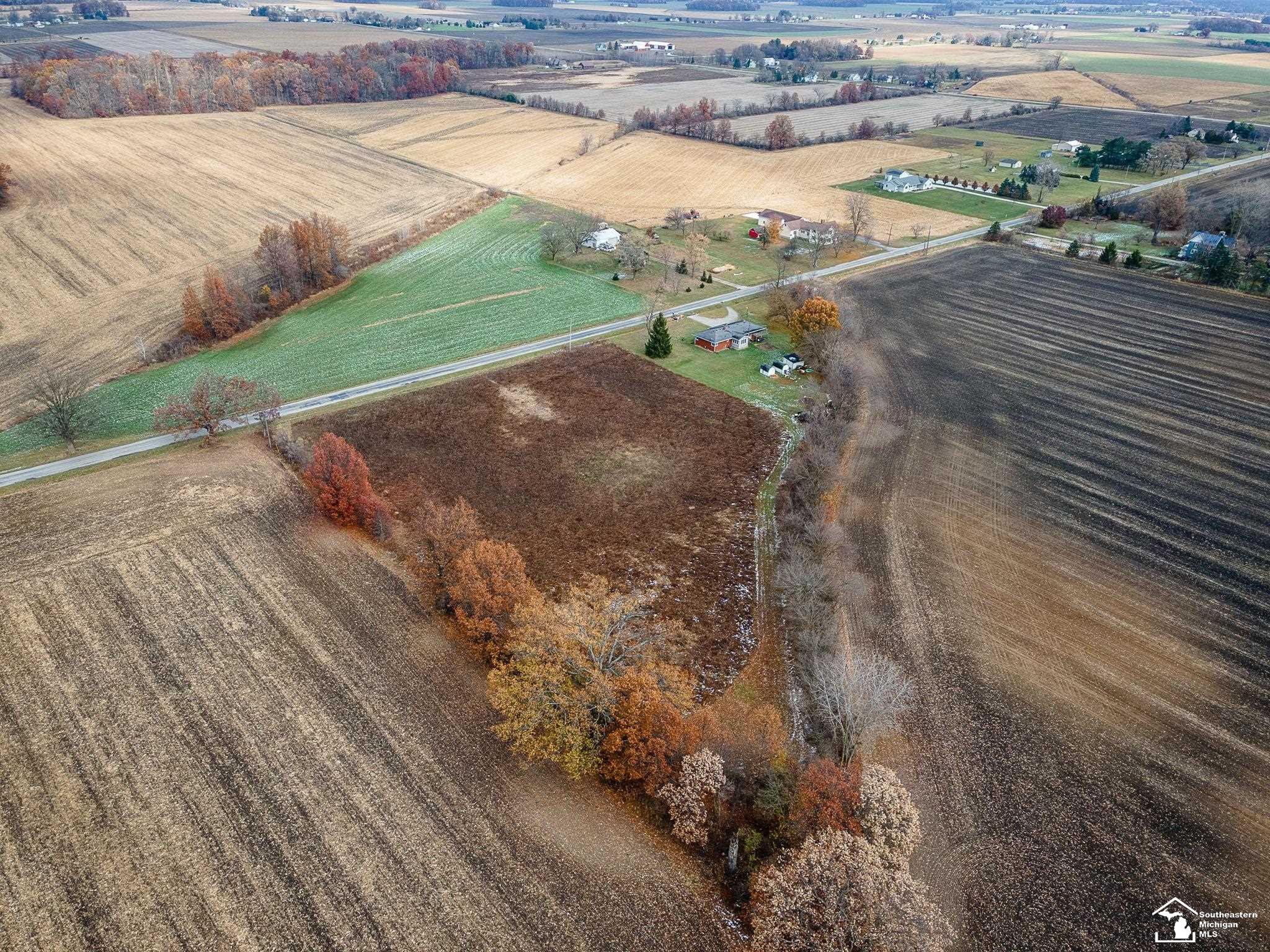 8687 Todd Road, Ida, MI 48140 — Photo 27