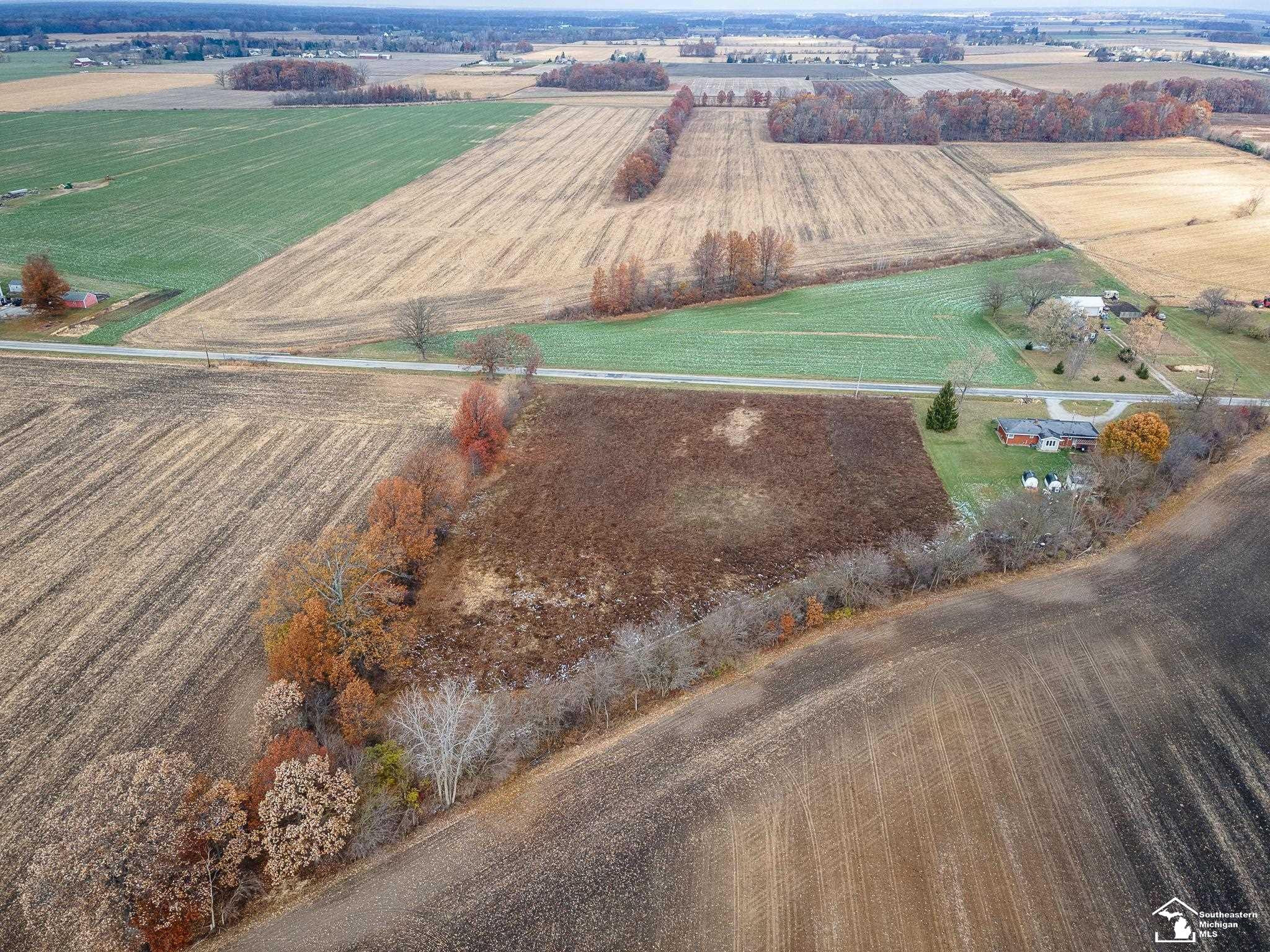 8687 Todd Road, Ida, MI 48140 — Photo 28