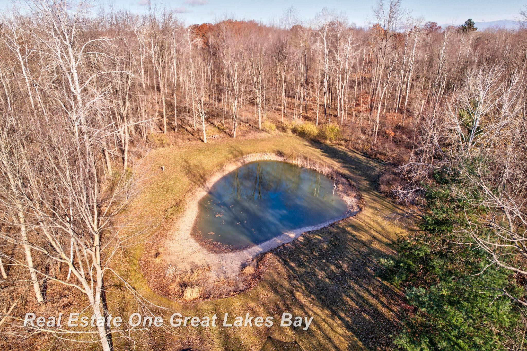 7454 N Jefferson Road, Rhodes, MI 48652 — Photo 36