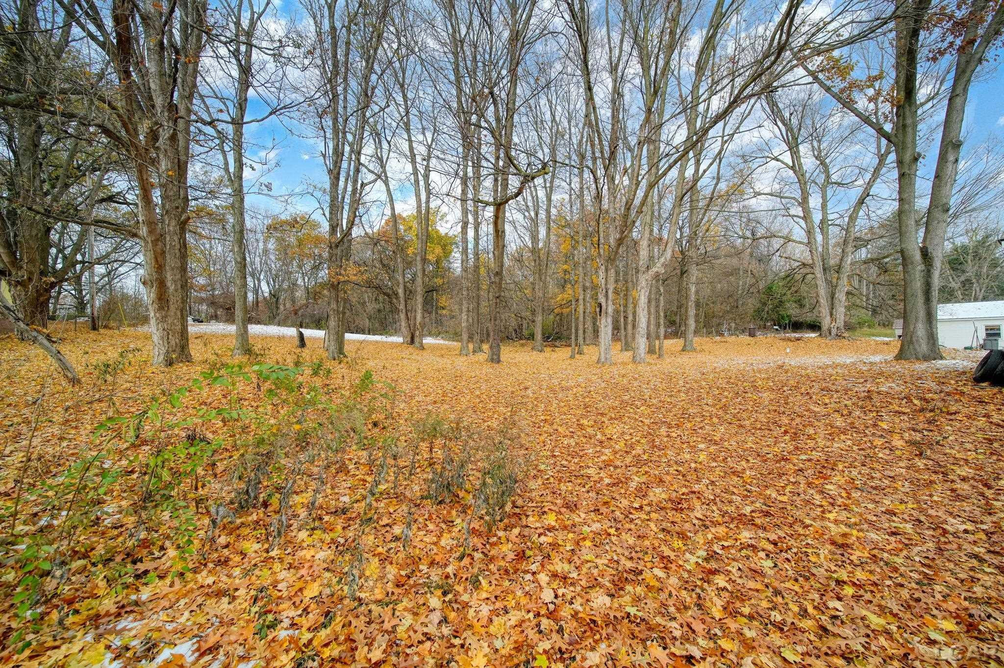 4500 Ogden Highway, Adrian, MI 49221 — Photo 26