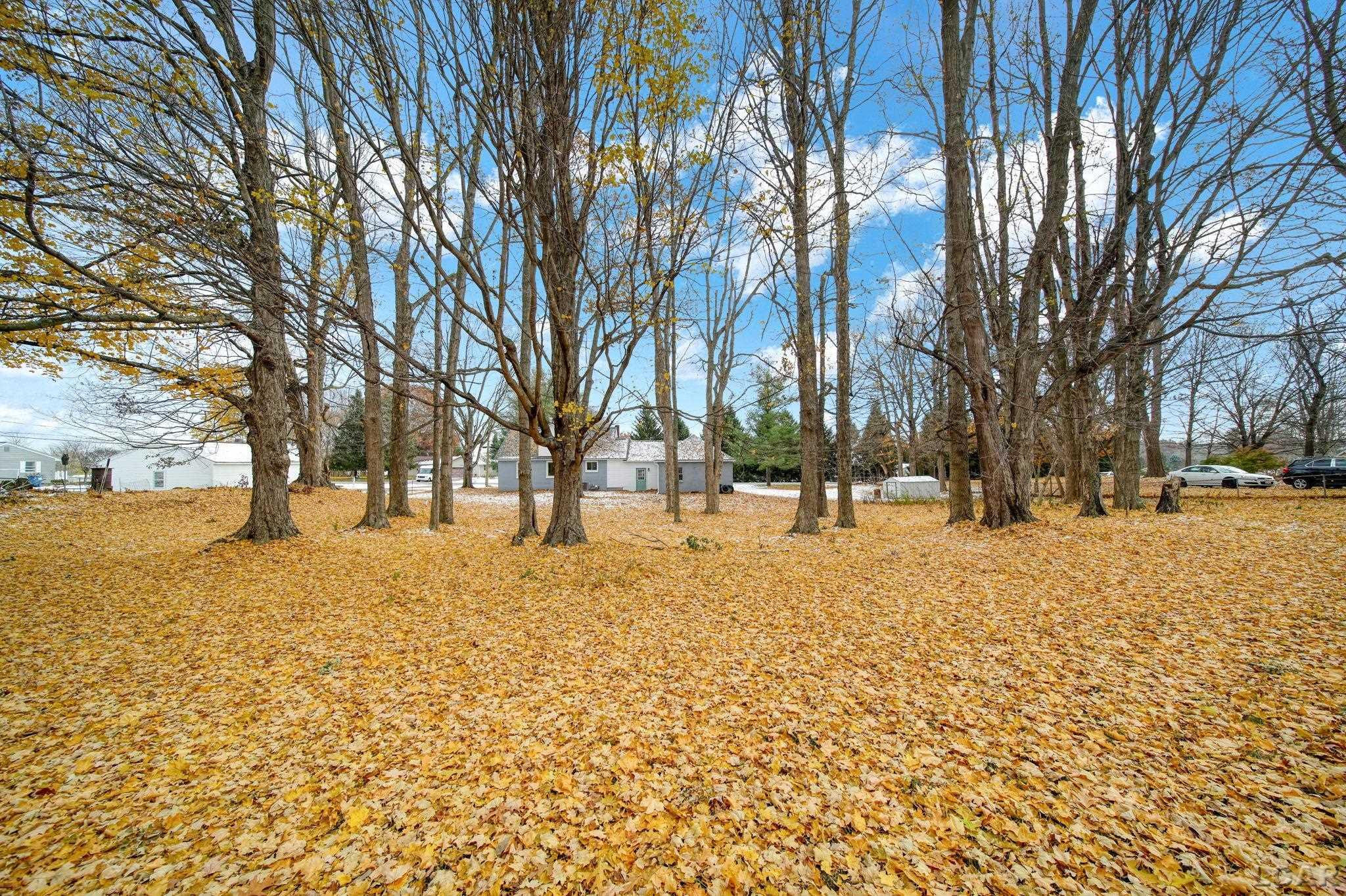 4500 Ogden Highway, Adrian, MI 49221 — Photo 29