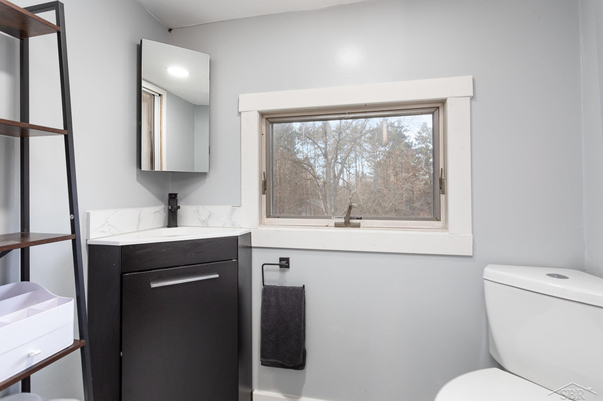 6852 S Main Street, Falmouth, MI 49632 — Photo 11