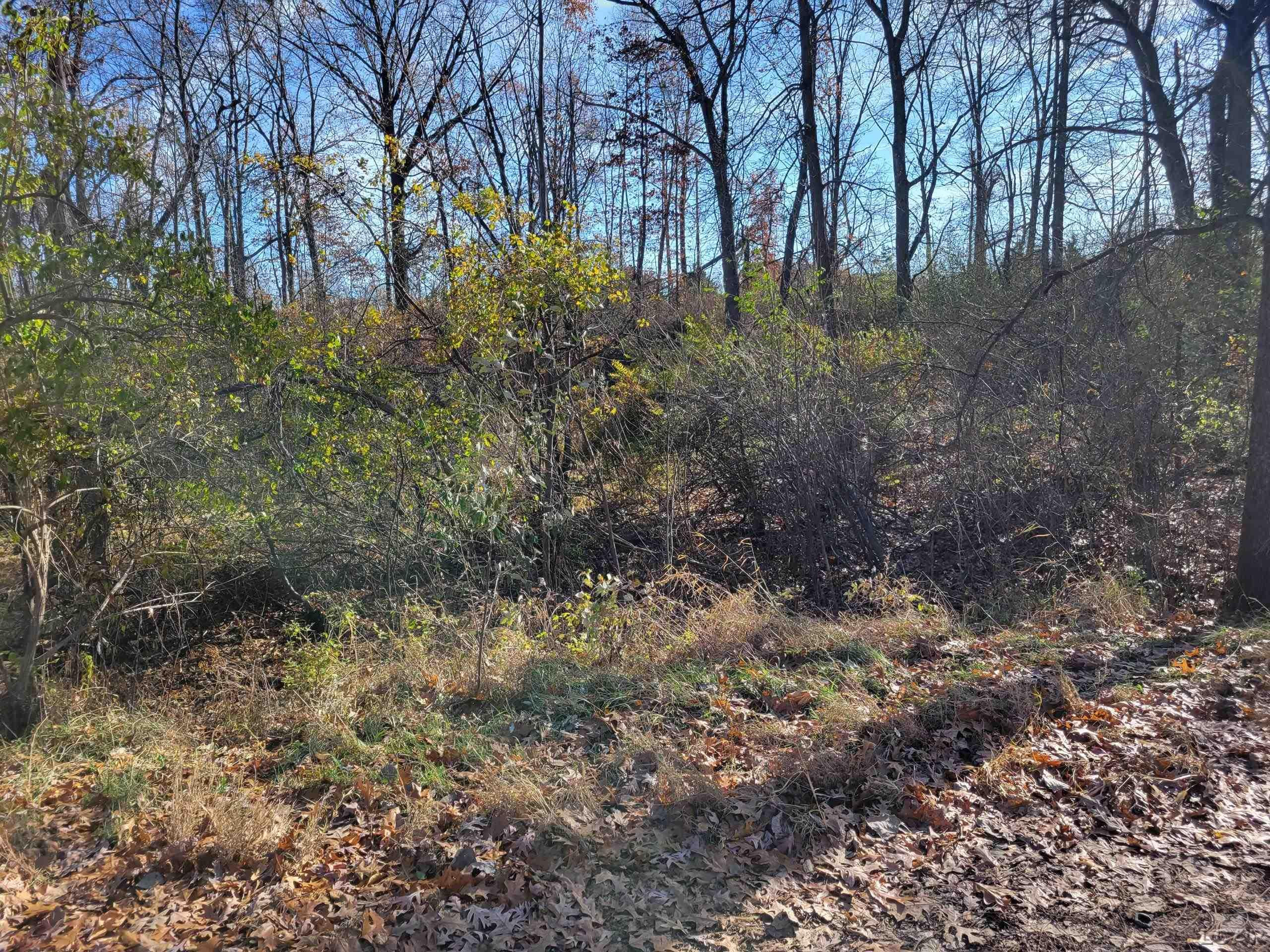 9951 Southlawn Circle, Jerome, MI 49249 — Photo 2