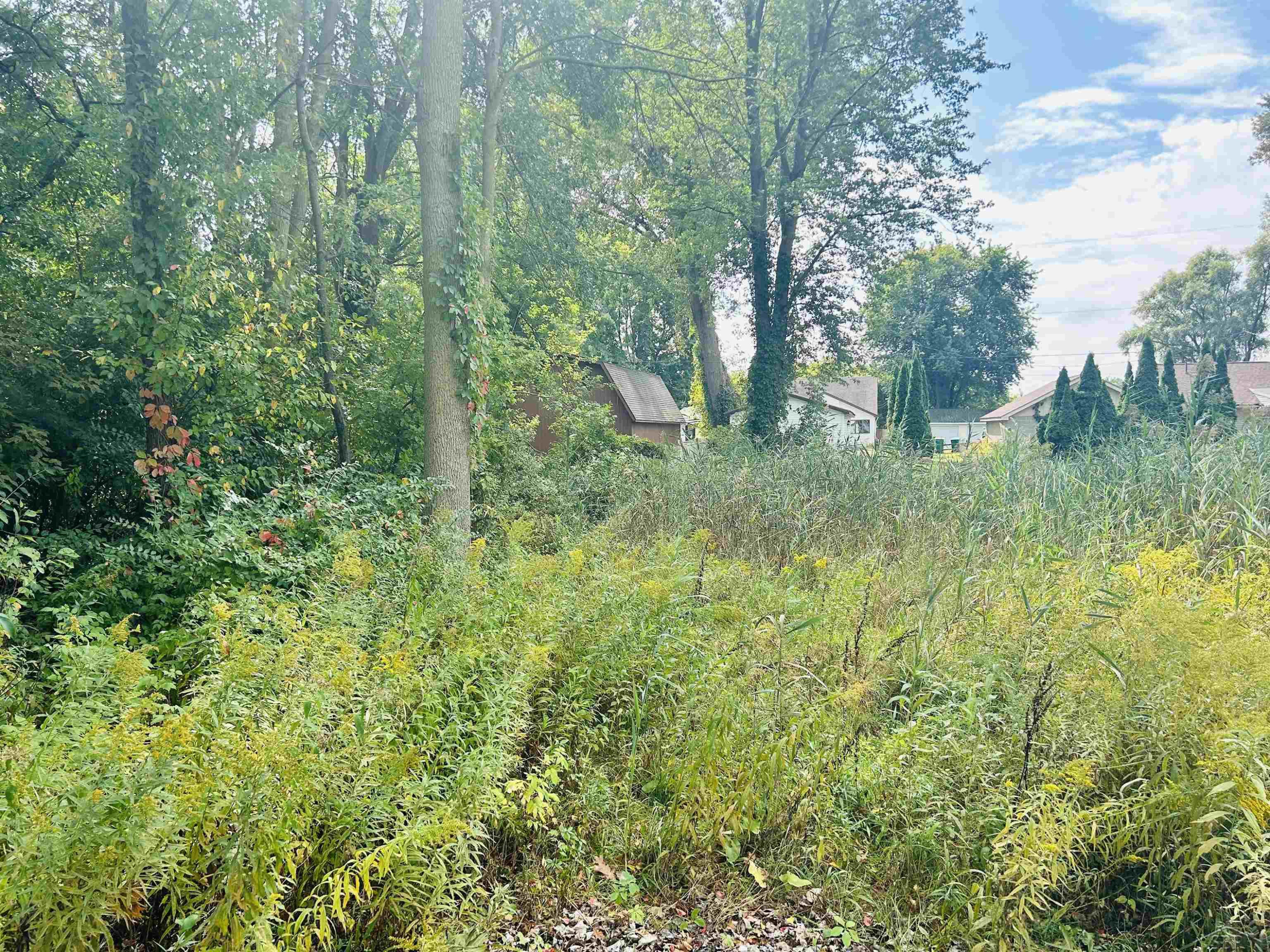 Shady Shores Road, Bay City, MI 48706 — Photo 7
