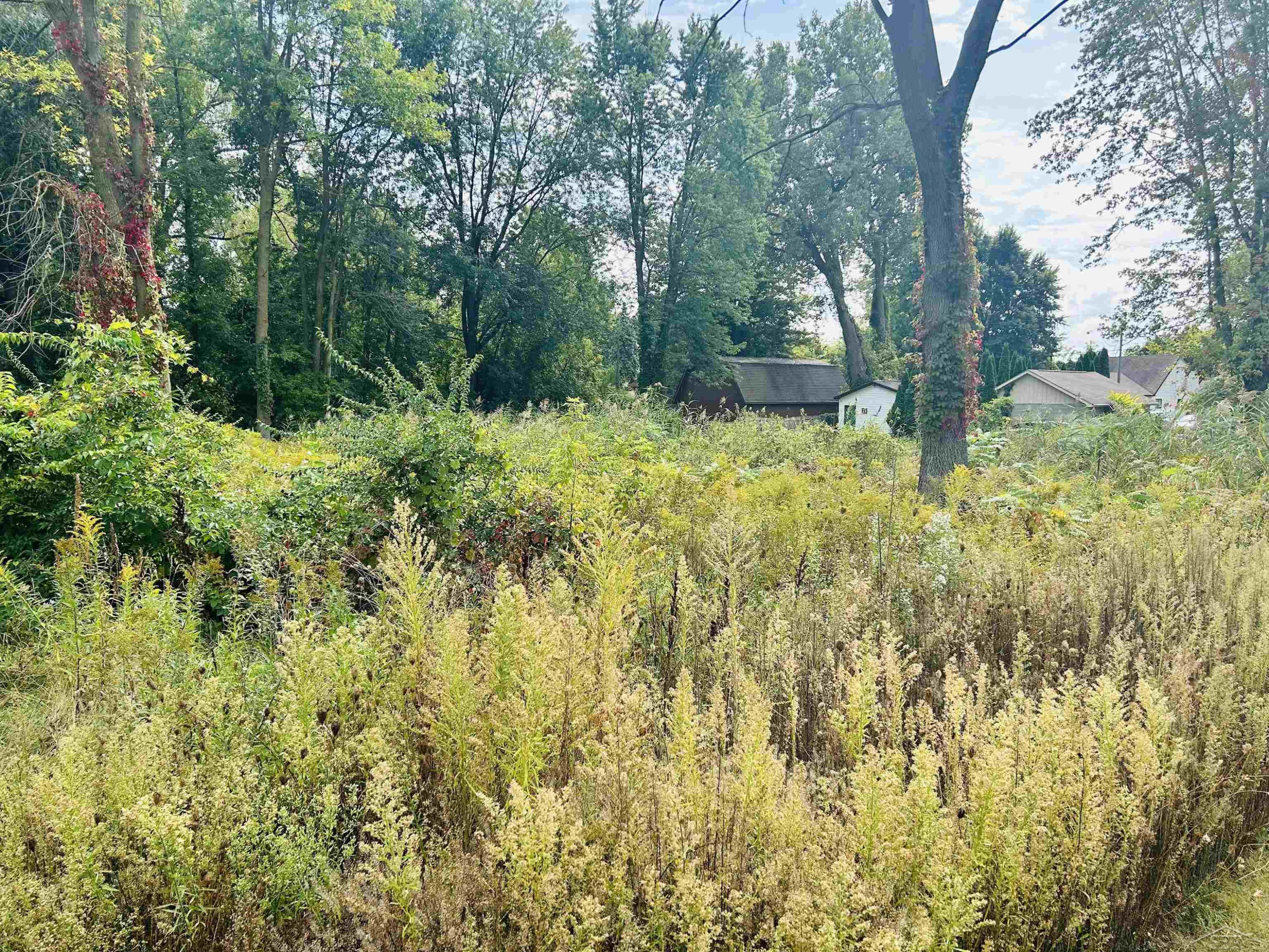 Shady Shores Road, Bay City, MI 48706 — Photo 8