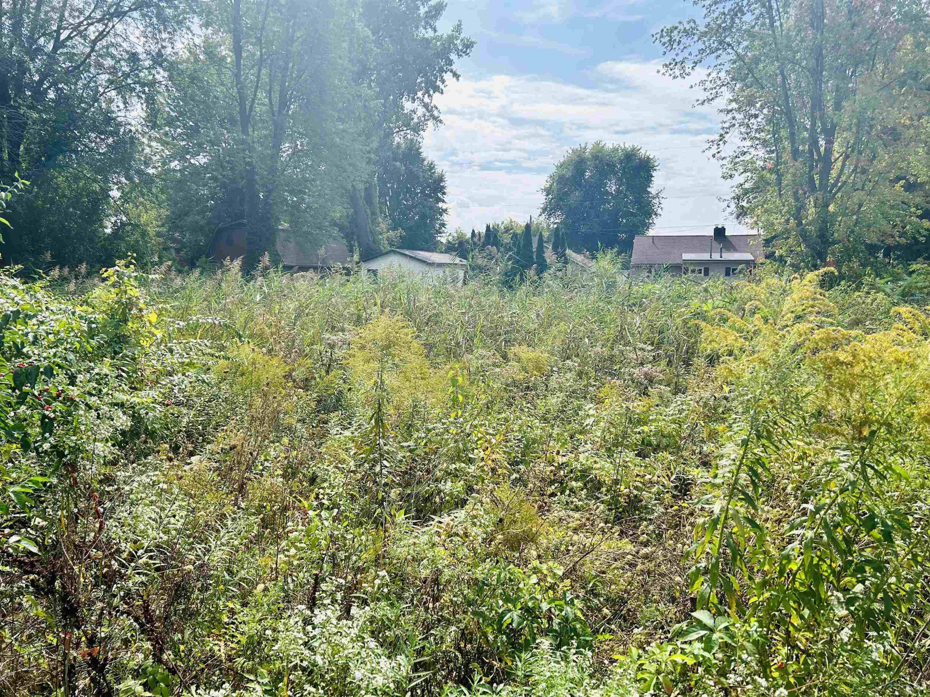 Shady Shores Road, Bay City, MI 48706 — Photo 9