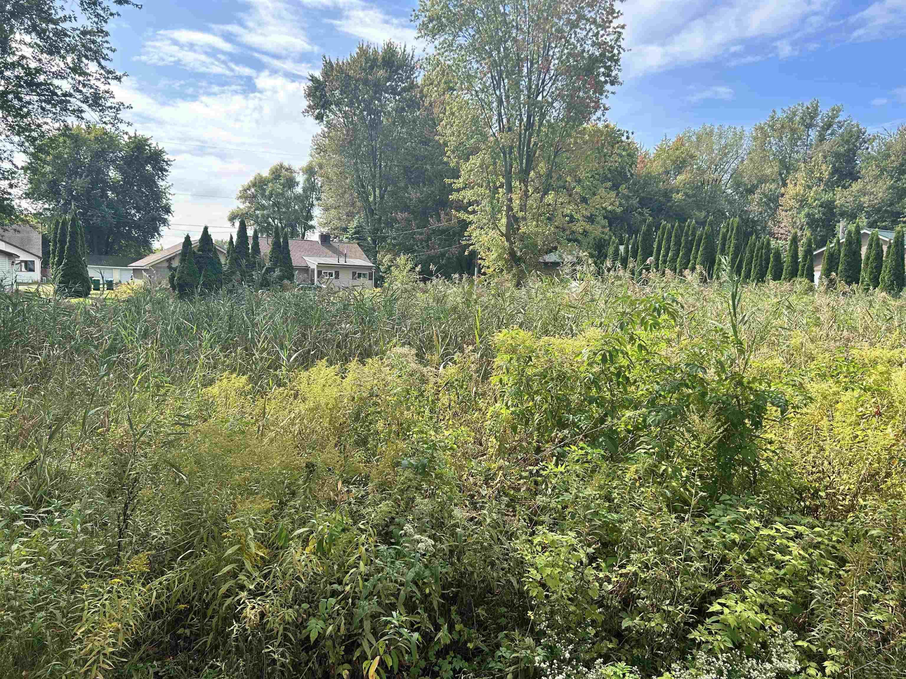 Shady Shores Road, Bay City, MI 48706 — Photo 10