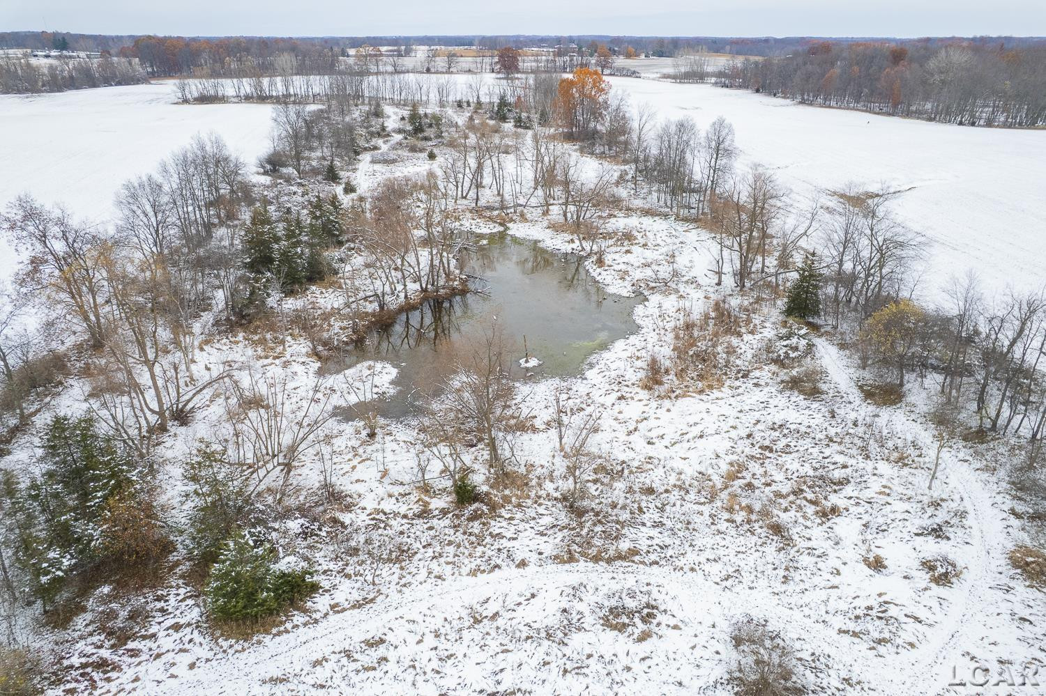 18430 Forrister Road, Hudson, MI 49247 — Photo 37