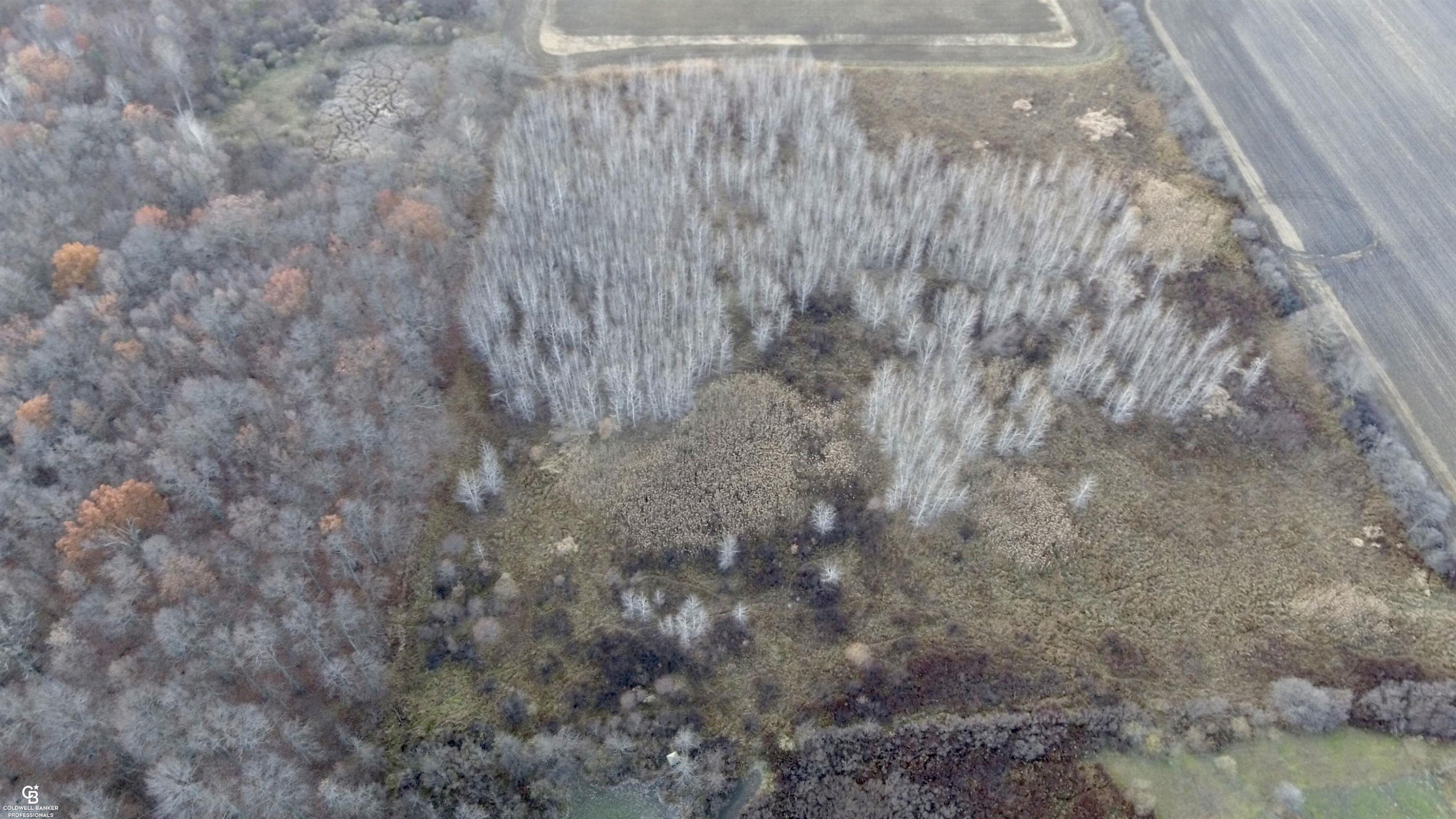6151 Duce Road, Avoca, MI 48006 — Photo 23