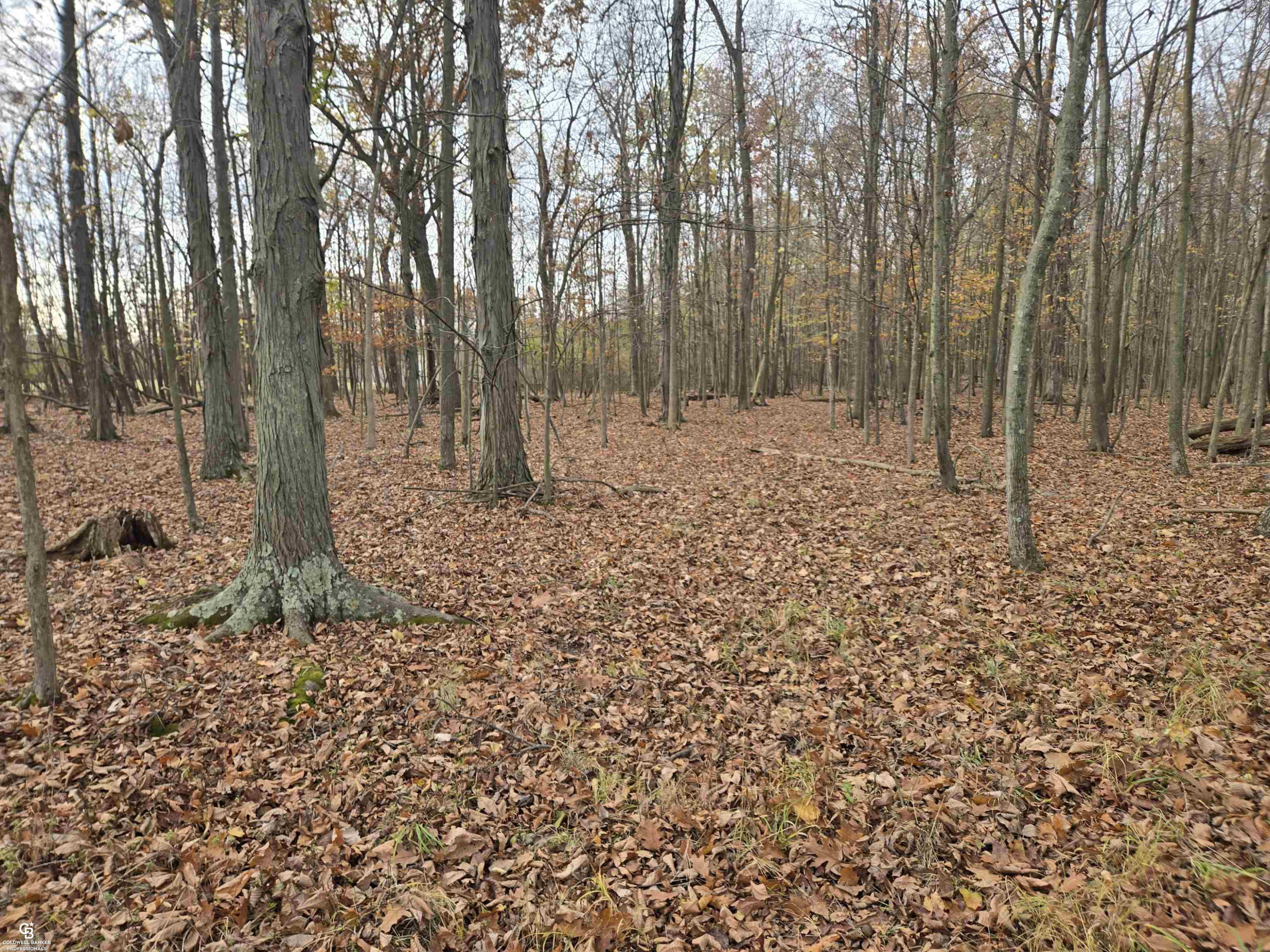 6151 Duce Road, Avoca, MI 48006 — Photo 52