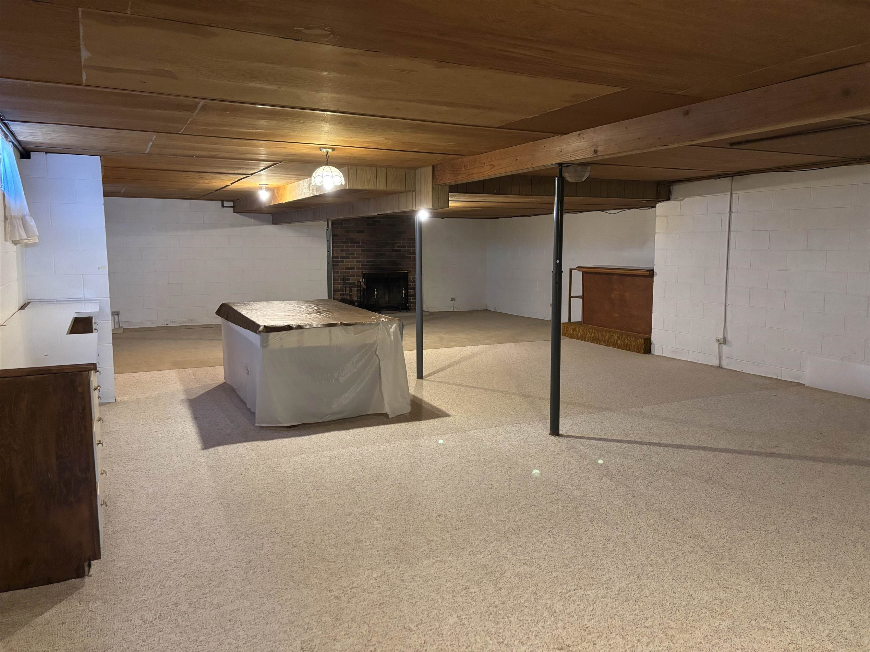 10487 Roedel Road, Frankenmuth, MI 48734 — Photo 28