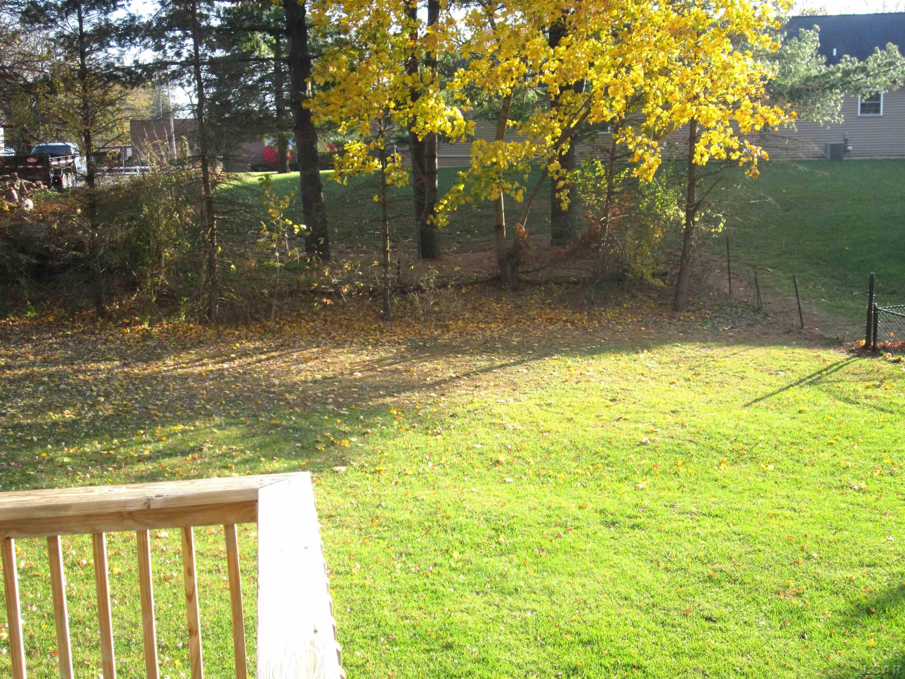 123 Hill Street, Hudson, MI 49247 — Photo 3