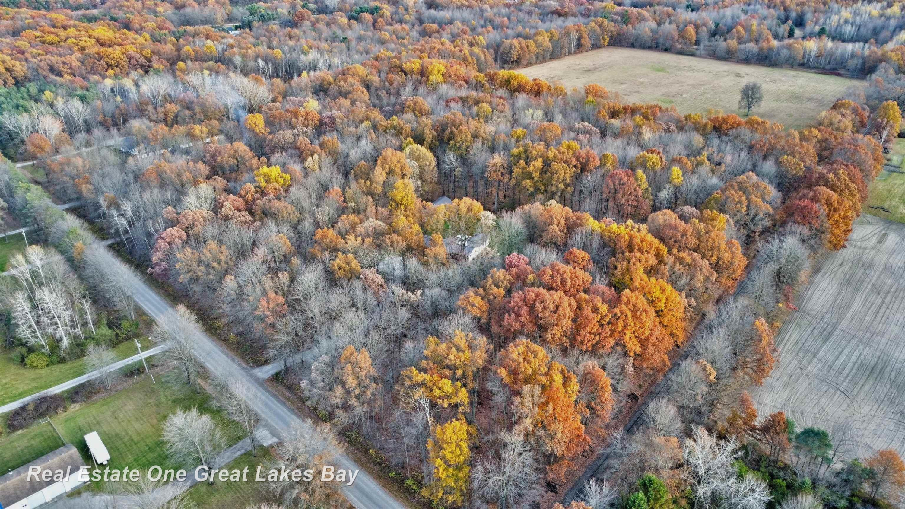 11207 W Willard Road, Montrose, MI 48457 — Photo 46