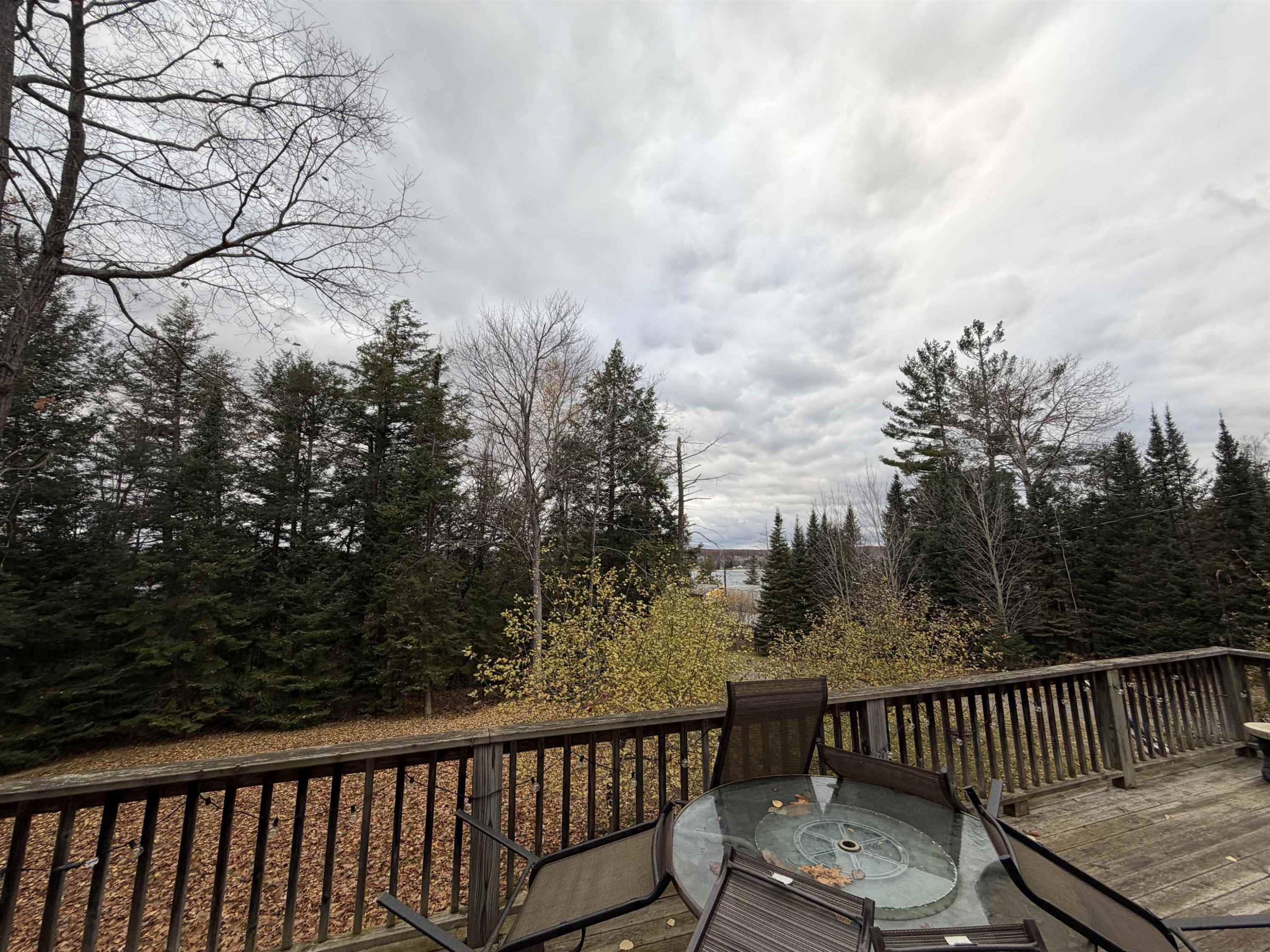 9631 Clewley Road, Lachine, MI 49753 — Photo 16