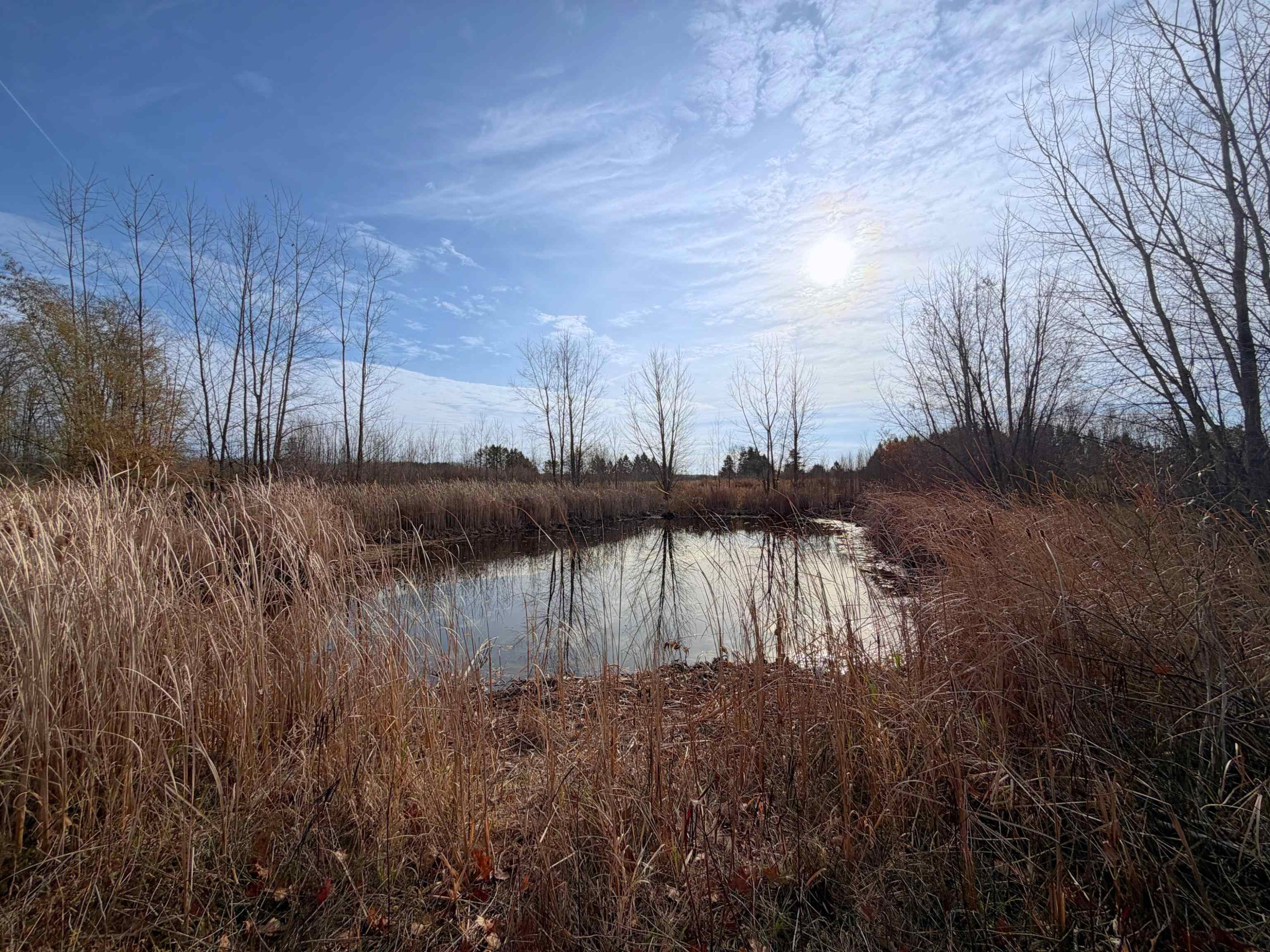 5850 N Ritchie Road, Pinconning, MI 48650 — Photo 41