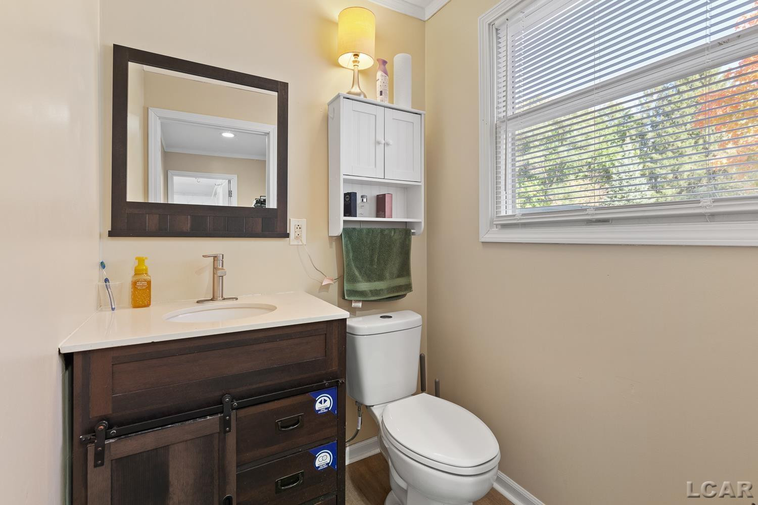 3126 Cobblestone Ridge, Tecumseh, MI 49286 — Photo 30