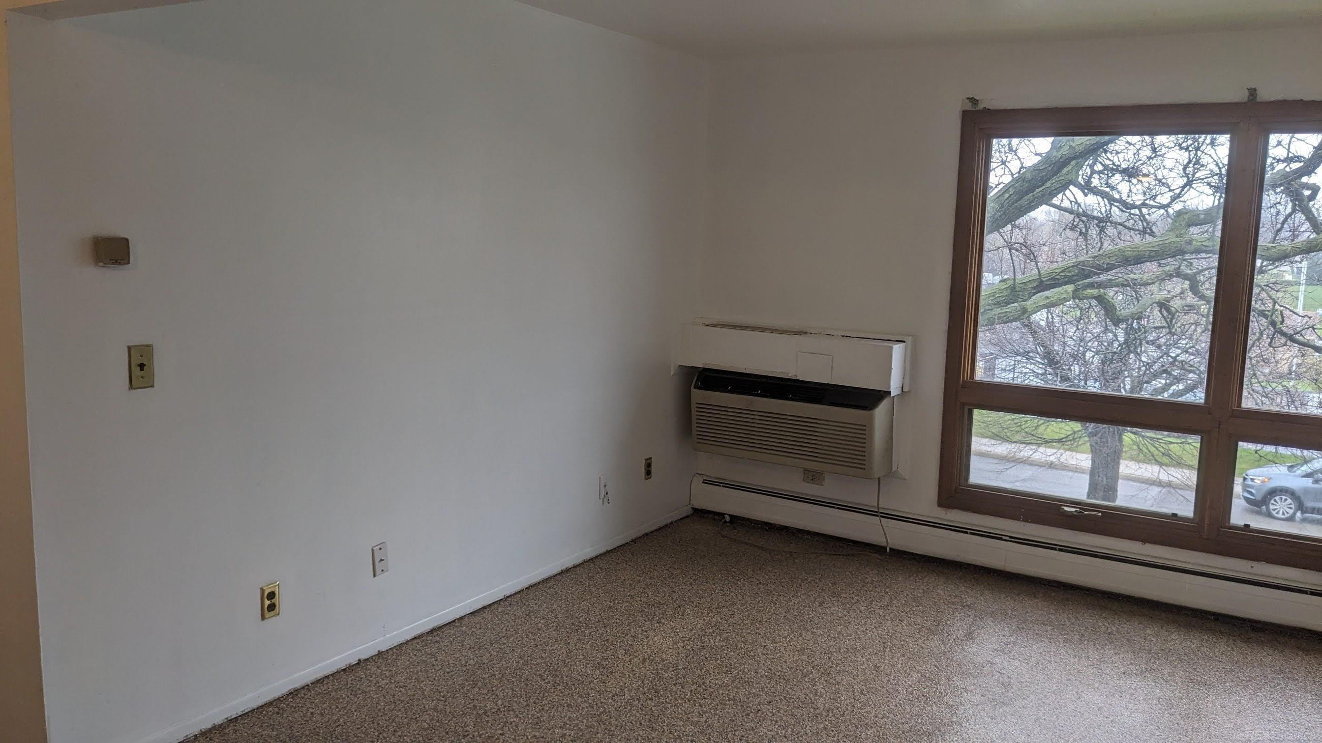 1565 Cherboneau Place, 60, Detroit, MI 48207 — Photo 5