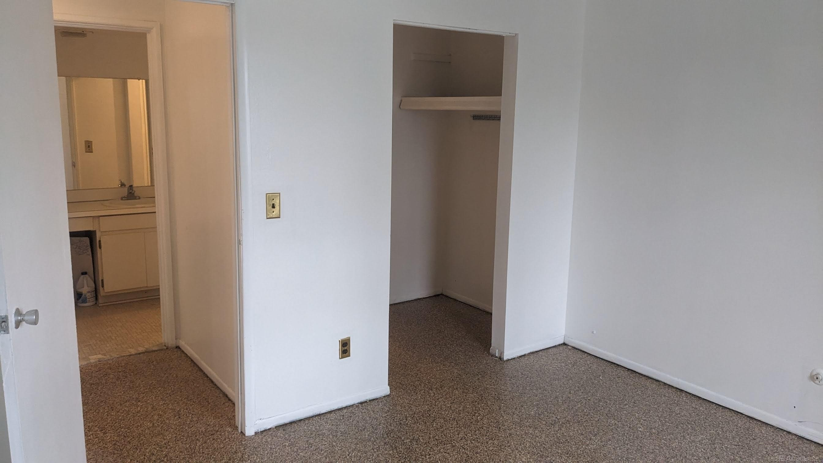 1565 Cherboneau Place, 60, Detroit, MI 48207 — Photo 8
