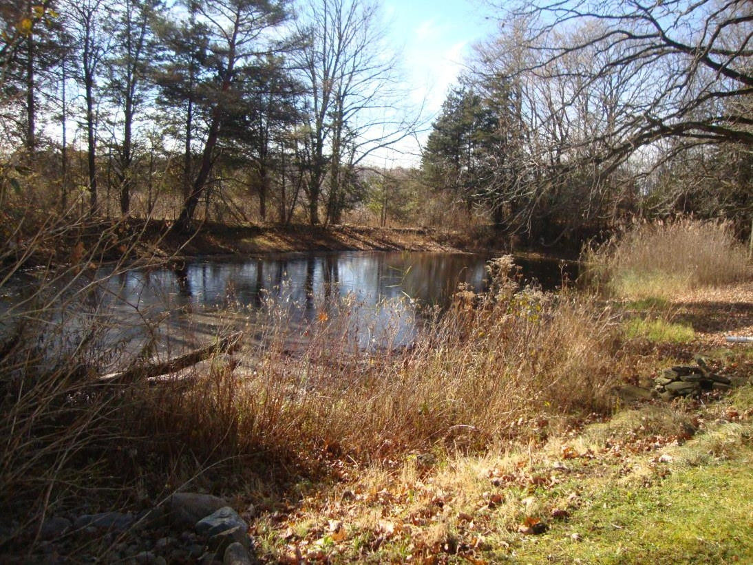 7491 Coldwater Road, Flushing, MI 48433 — Photo 27