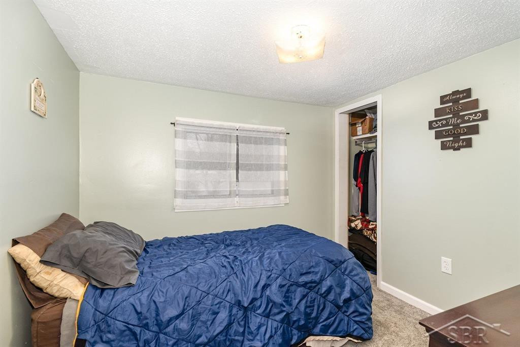 3875 E Curtis Road, Birch Run, MI 48415 — Photo 9