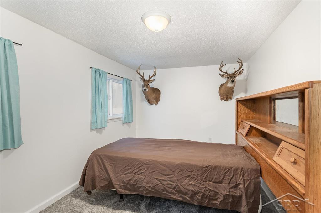 3875 E Curtis Road, Birch Run, MI 48415 — Photo 11