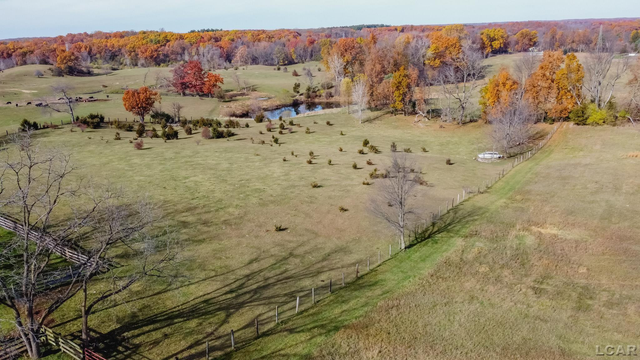 12060 Waterman Road, Brooklyn, MI 49230 — Photo 4