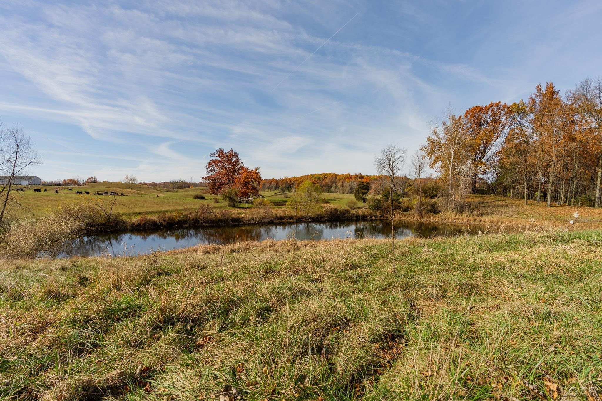 12060 Waterman Road, Brooklyn, MI 49230 — Photo 87