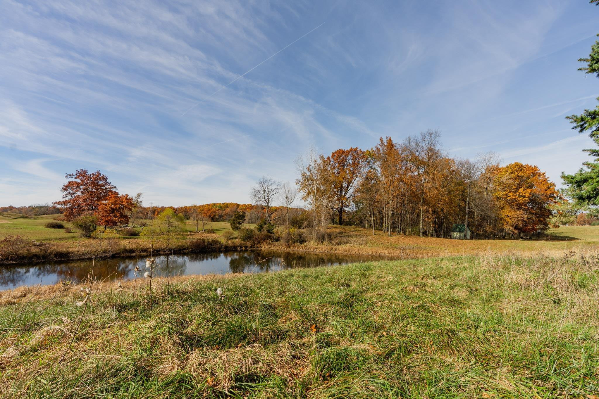 12060 Waterman Road, Brooklyn, MI 49230 — Photo 89