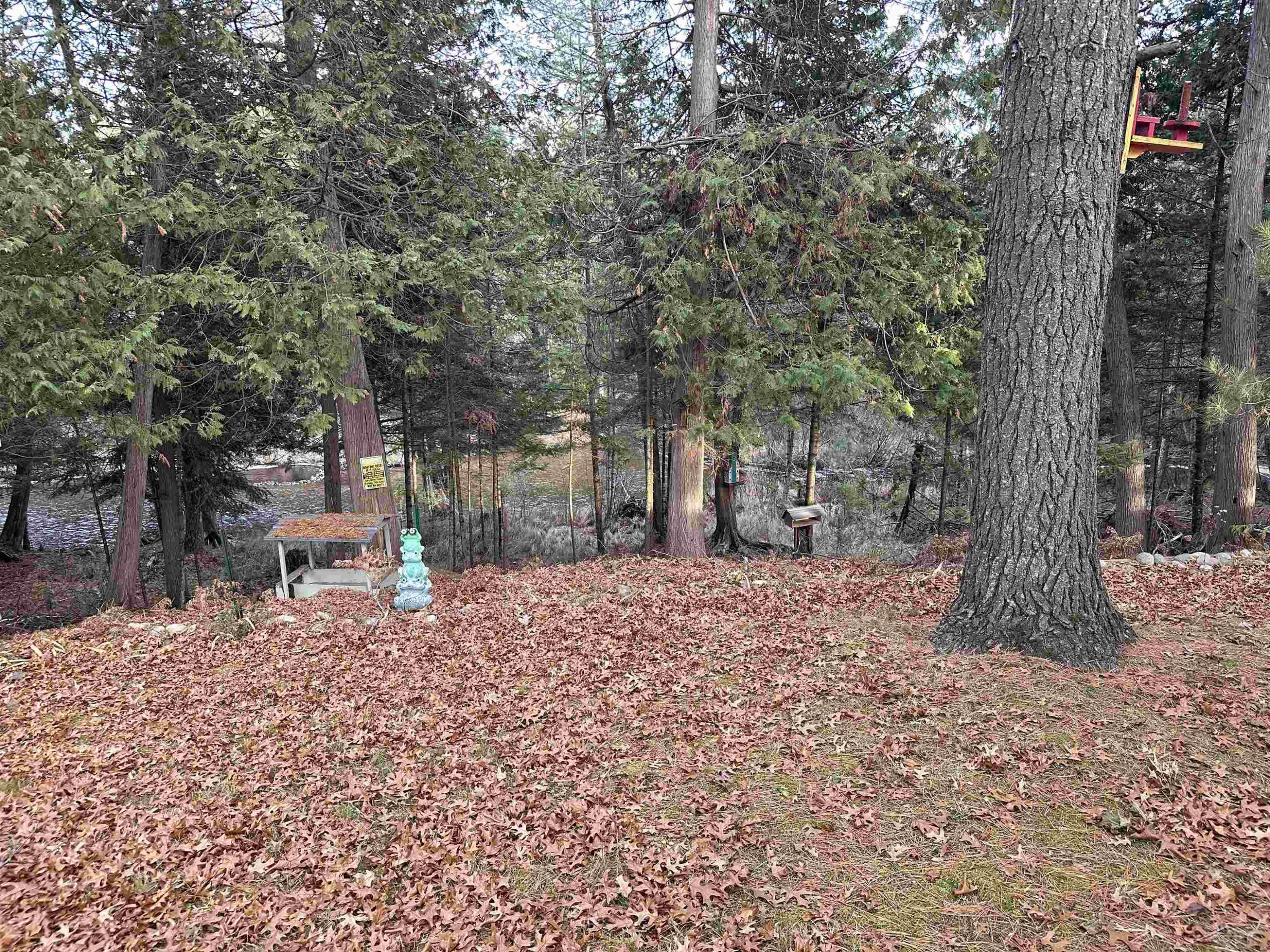 2832 Creekview Drive, Grayling, MI 49738 — Photo 19