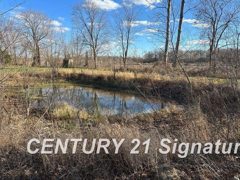 10141 McEnrue Road, Swartz Creek, MI 48473 — Photo 42